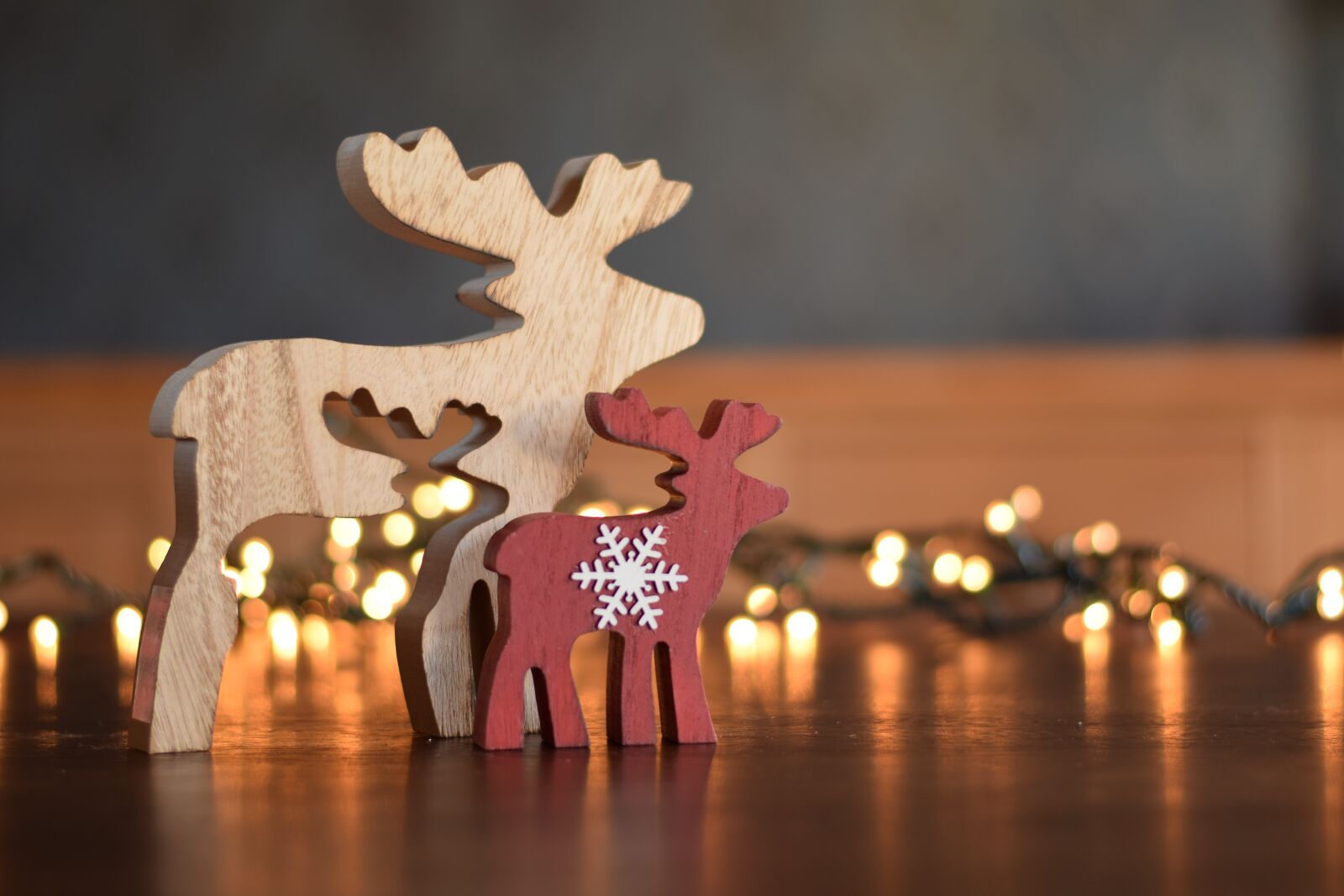 Nikon D5300 sample photo. Christmas, christmas atmosphere, deer photography