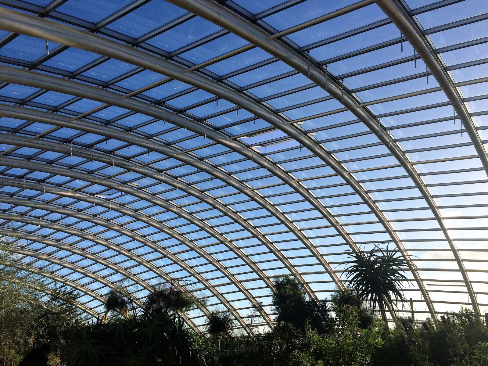 iPhone 5s back camera 4.15mm f/2.2 sample photo. Roof, blue skies, architecture photography