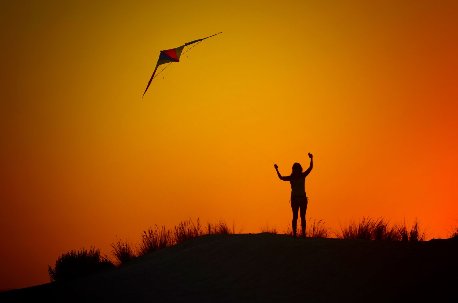 Nikon D7000 sample photo. Backlight, silhouette, kite photography