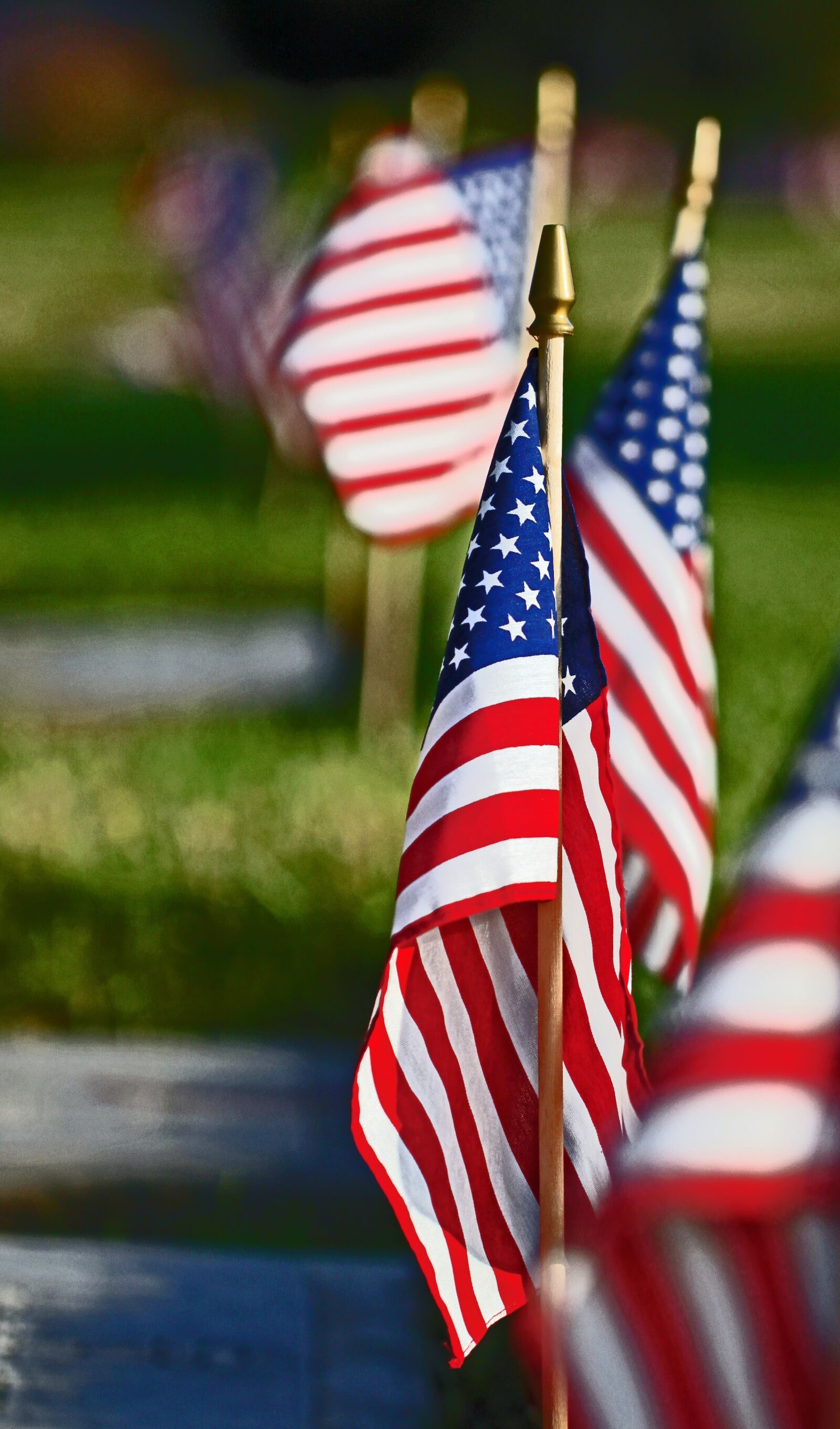 Canon EOS 500D (EOS Rebel T1i / EOS Kiss X3) sample photo. Flag, red white and photography
