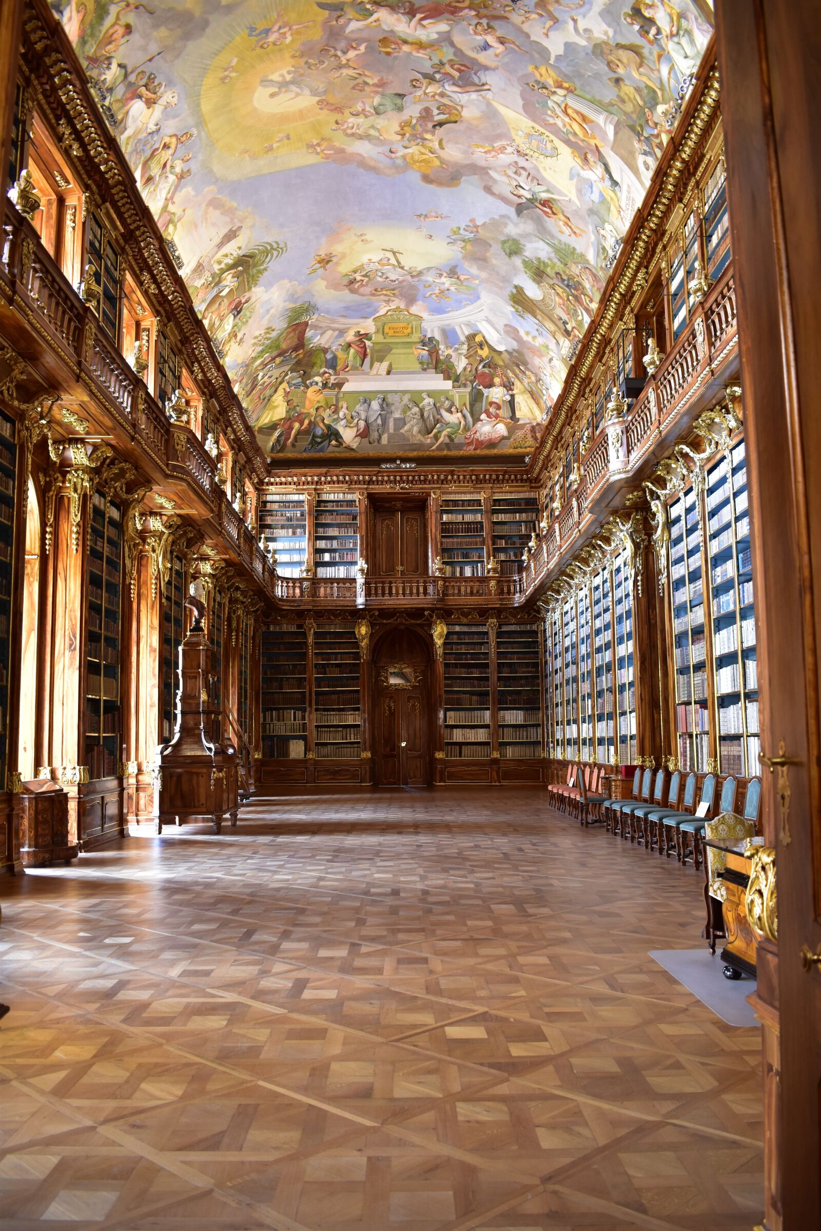 Nikon D5500 sample photo. Library, historical, fresco photography