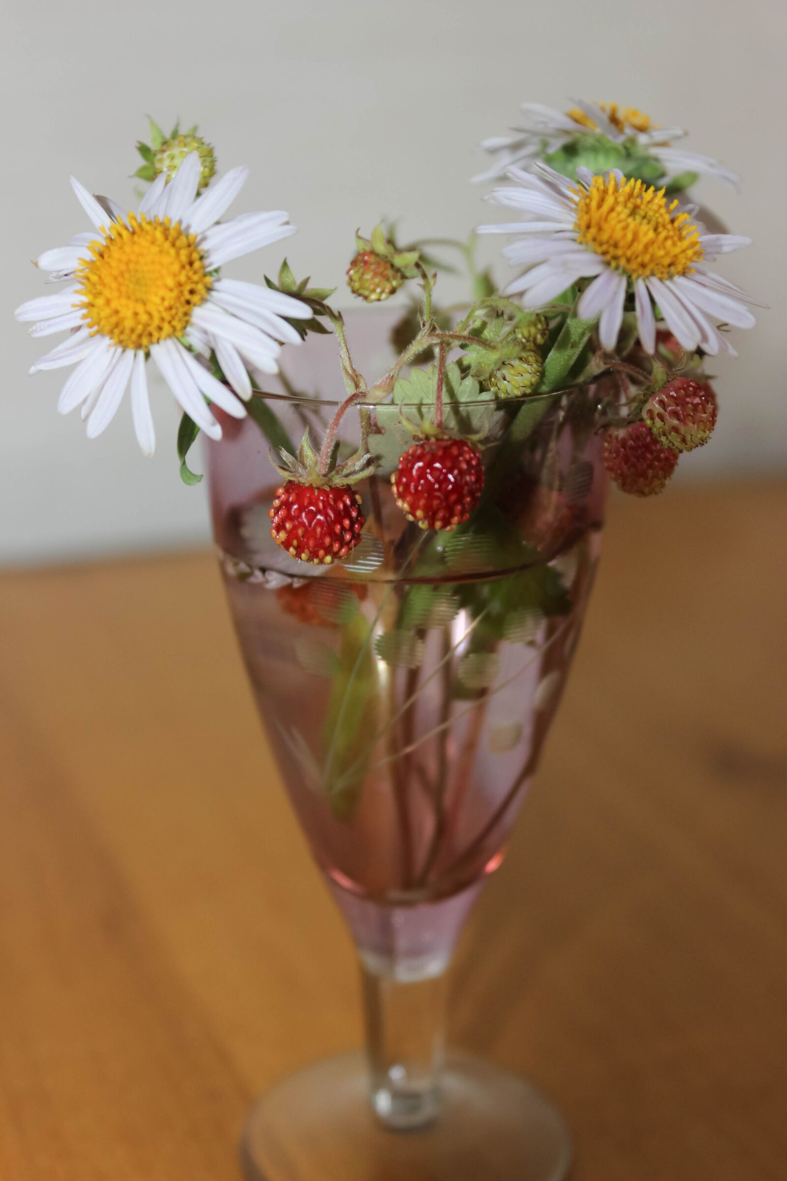 Canon EOS 600D (Rebel EOS T3i / EOS Kiss X5) sample photo. Bouquet, daisy, wild strawberry photography