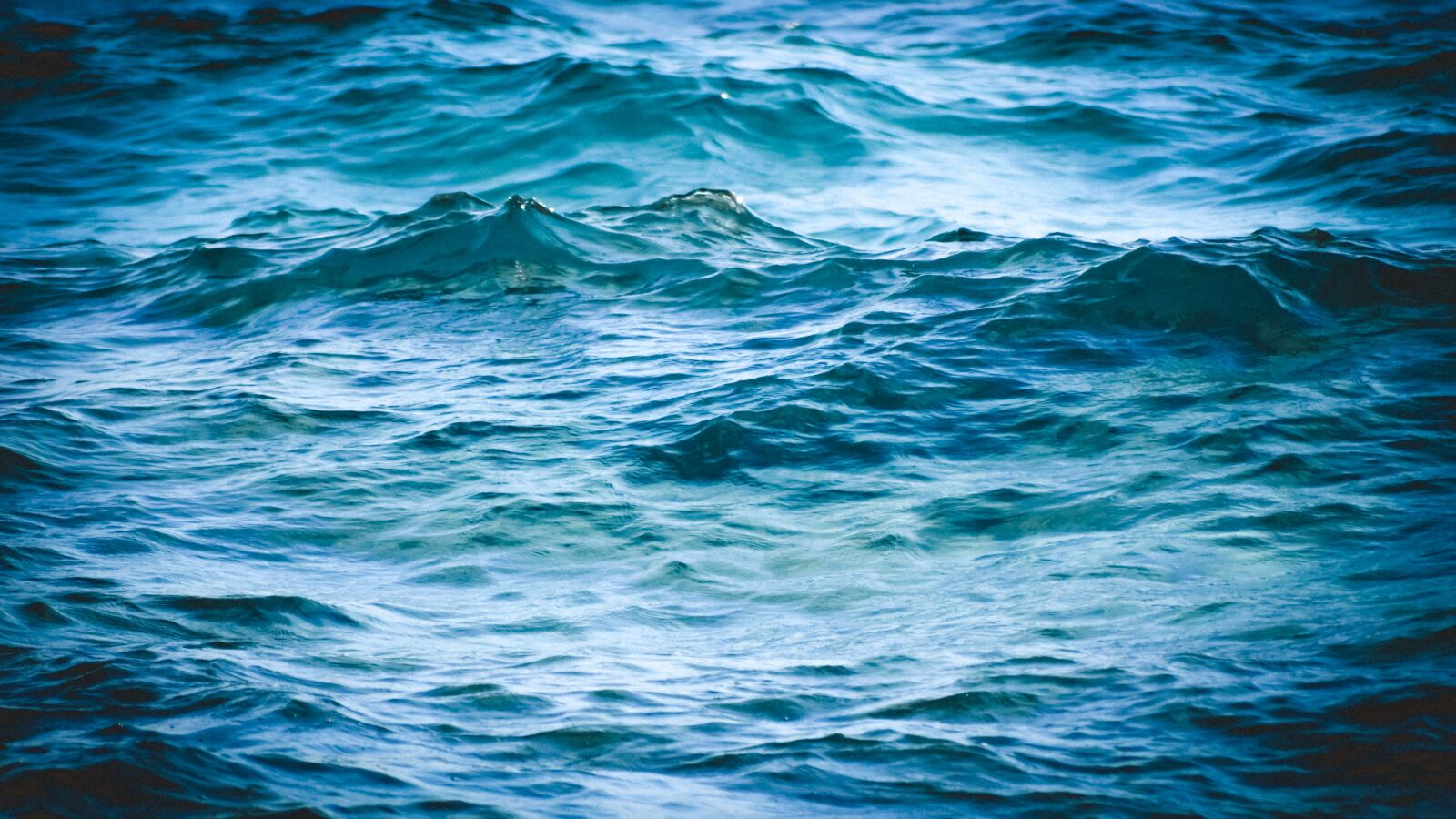 Nikon D3300 sample photo. Sea, wave, water photography