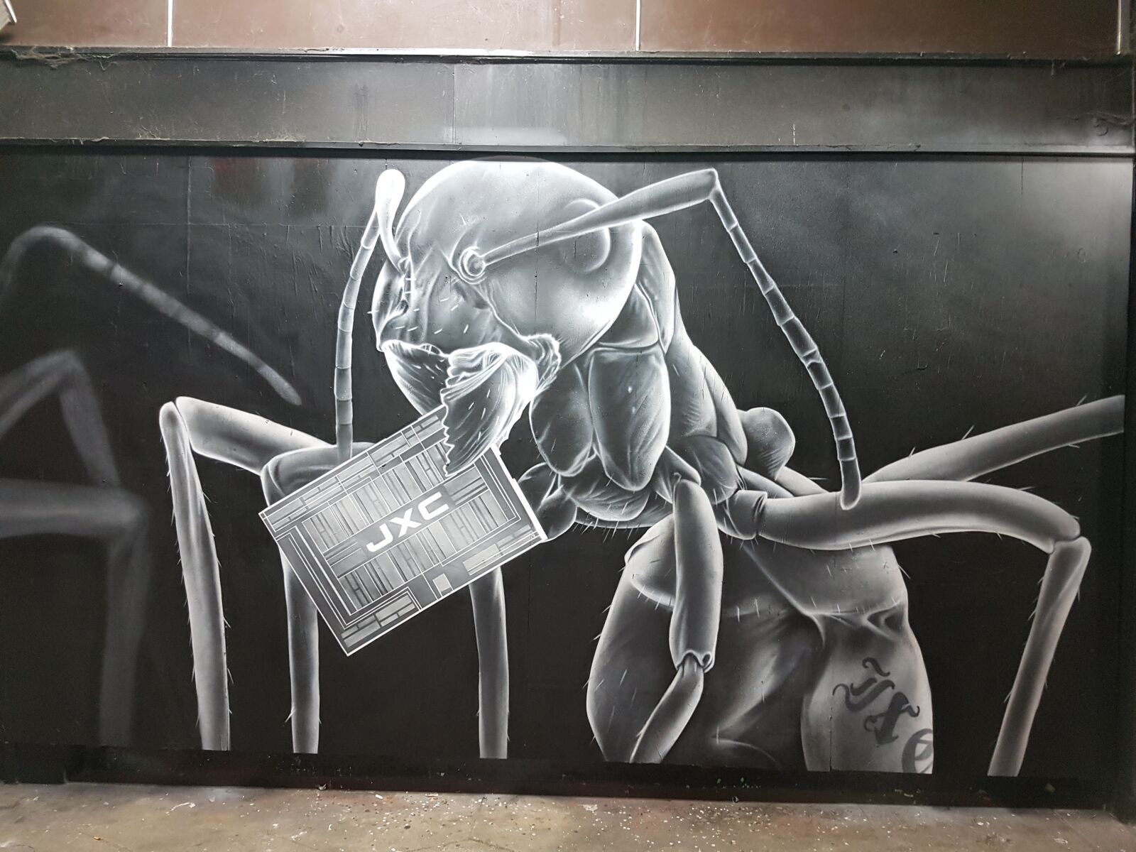 Samsung Galaxy S7 Edge sample photo. Graffiti, ant, art photography