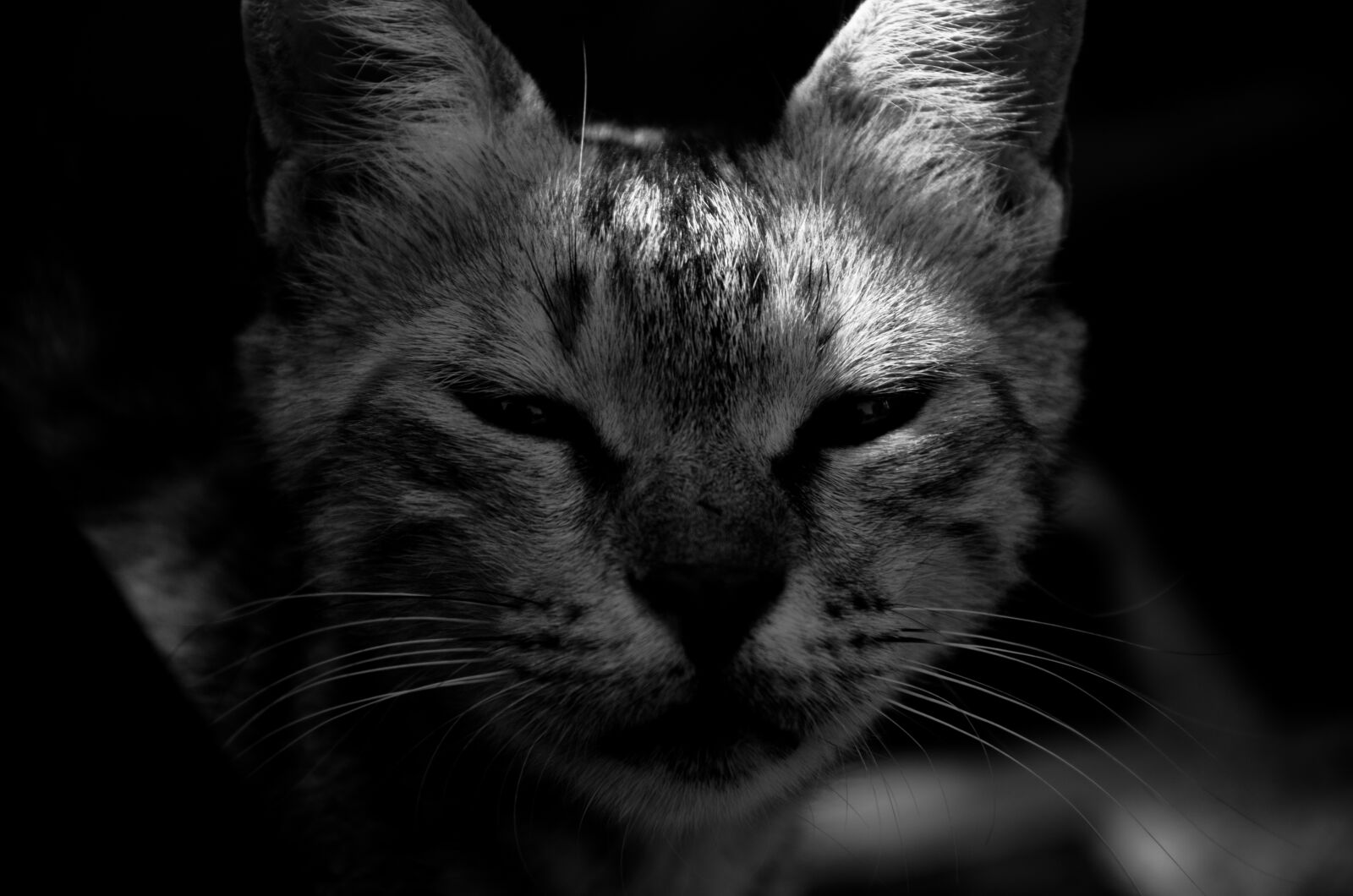 Nikon D5100 sample photo
