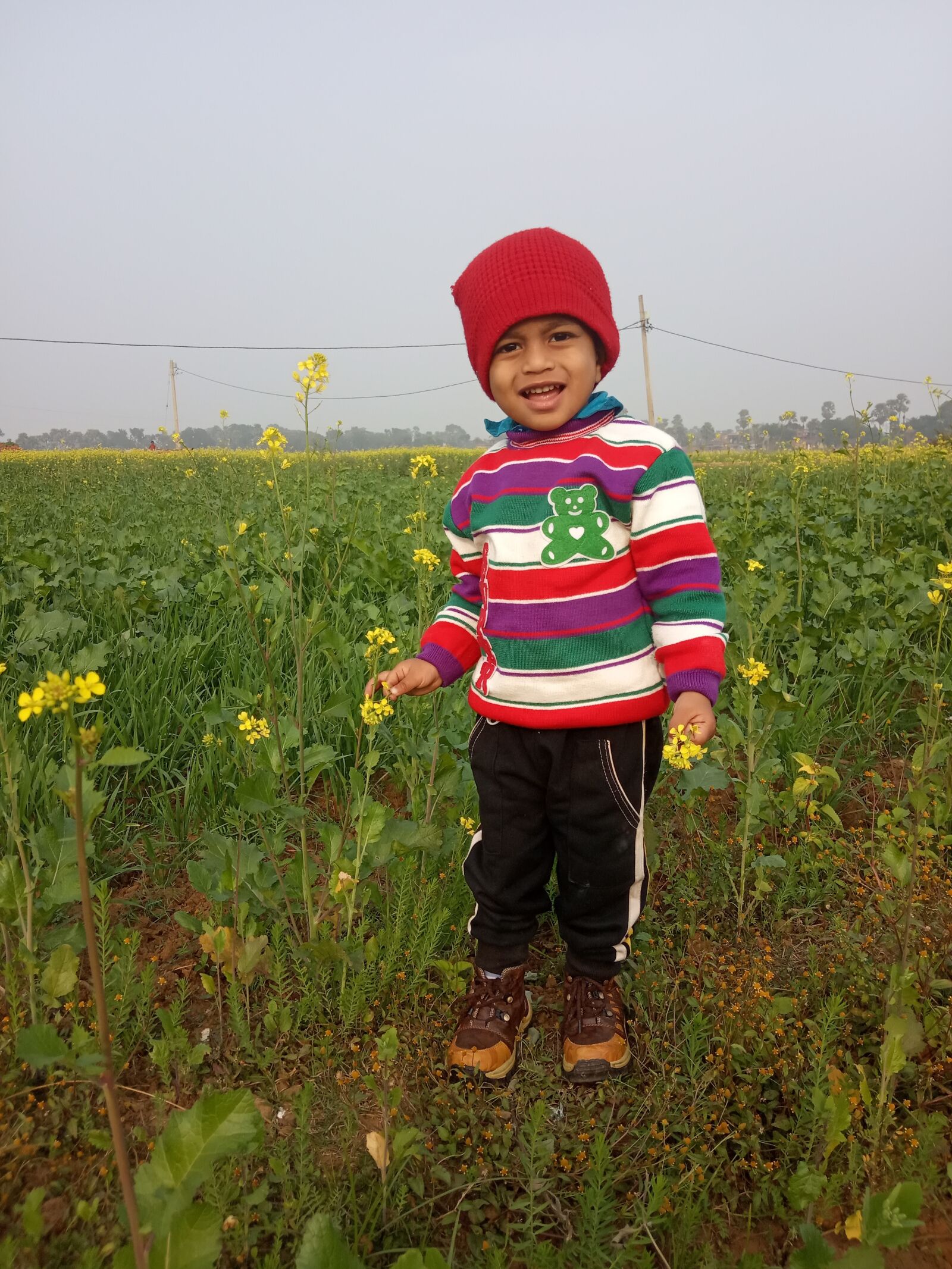Xiaomi Redmi 6A sample photo. Haven, garden, beautiful haven photography