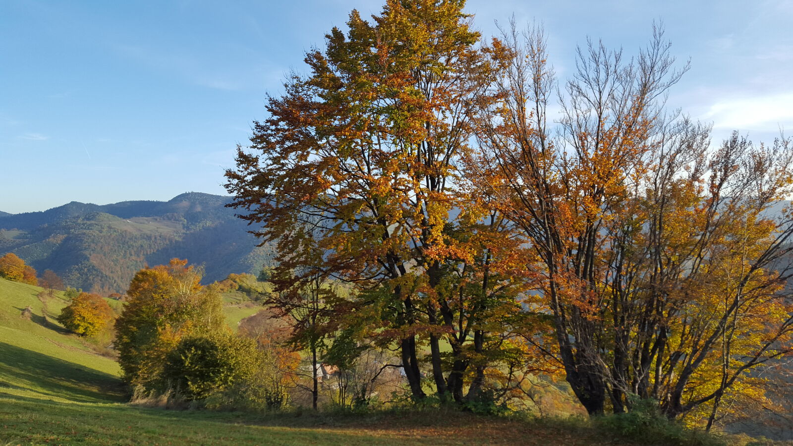 Samsung Galaxy S6 sample photo. Apuseni, mountains, autumn, trees photography