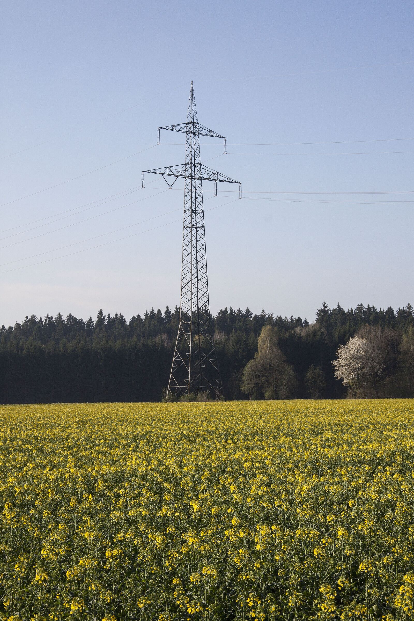 Canon EF-S 17-85mm F4-5.6 IS USM sample photo. Oilseed rape, agricultural operation photography