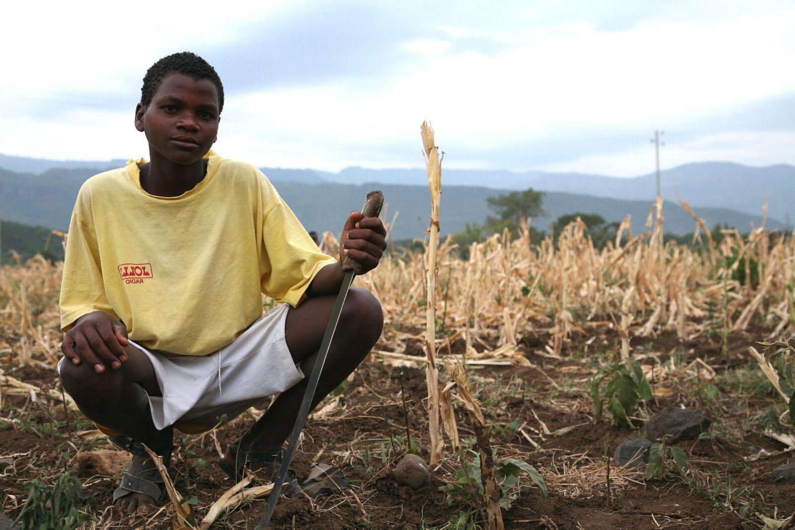 Canon EOS 5D sample photo. Dried, field, maize, arba photography
