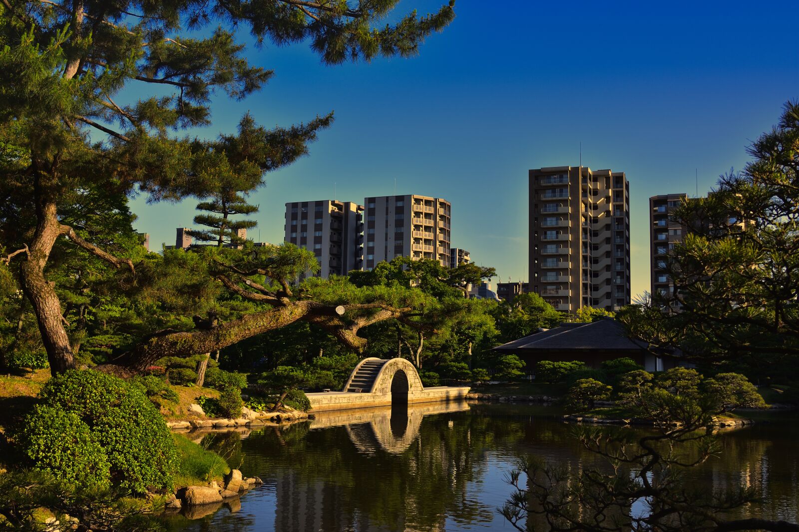 Nikon D7200 sample photo. Japan, hiroshima, travel photography