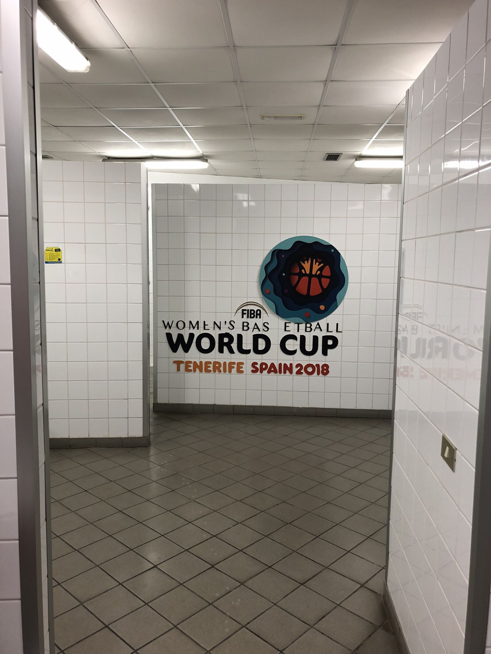 iPhone 8 back camera 3.99mm f/1.8 sample photo. World cup, women, basketball photography