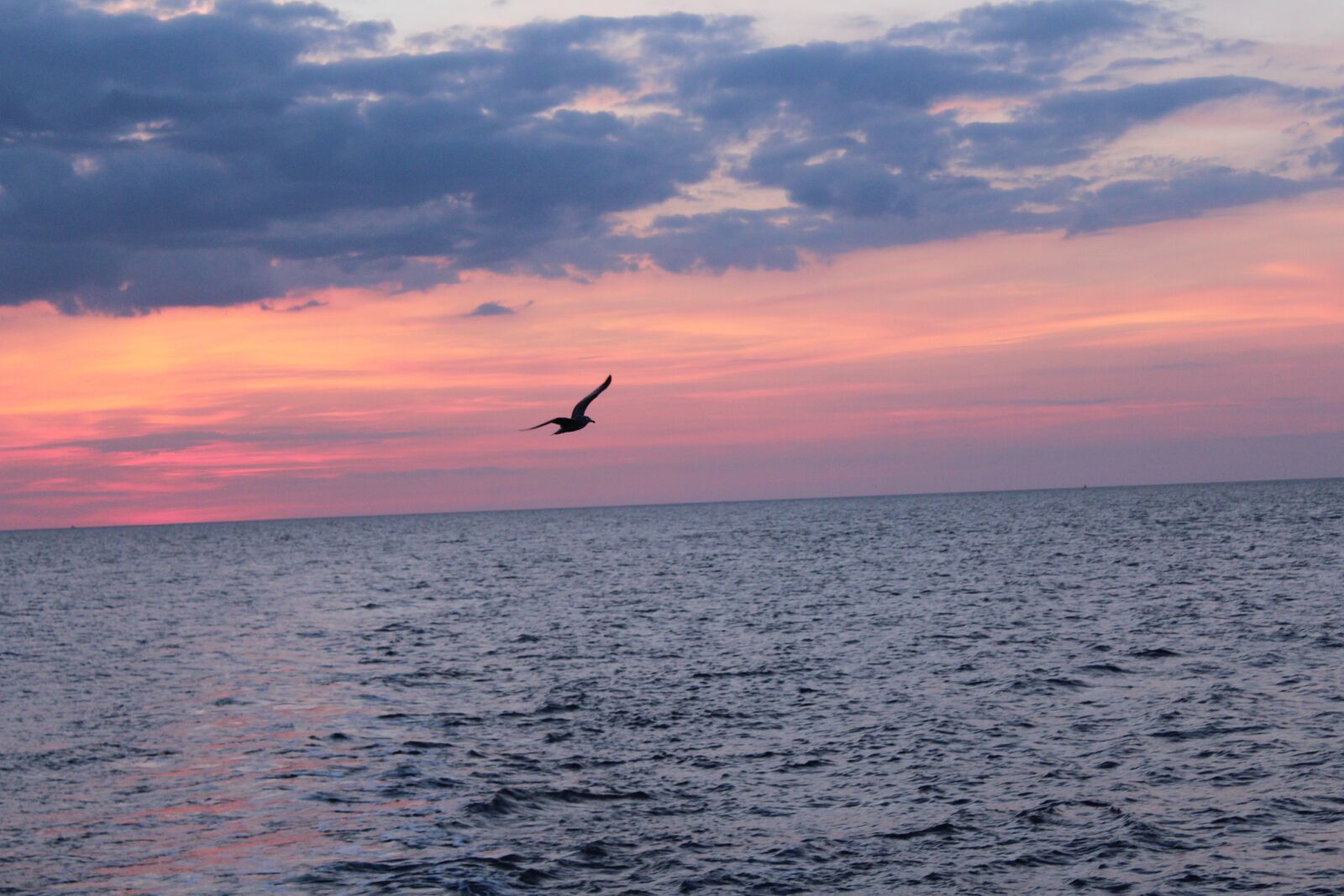 Canon EOS 1300D (EOS Rebel T6 / EOS Kiss X80) sample photo. Sea, the baltic sea photography