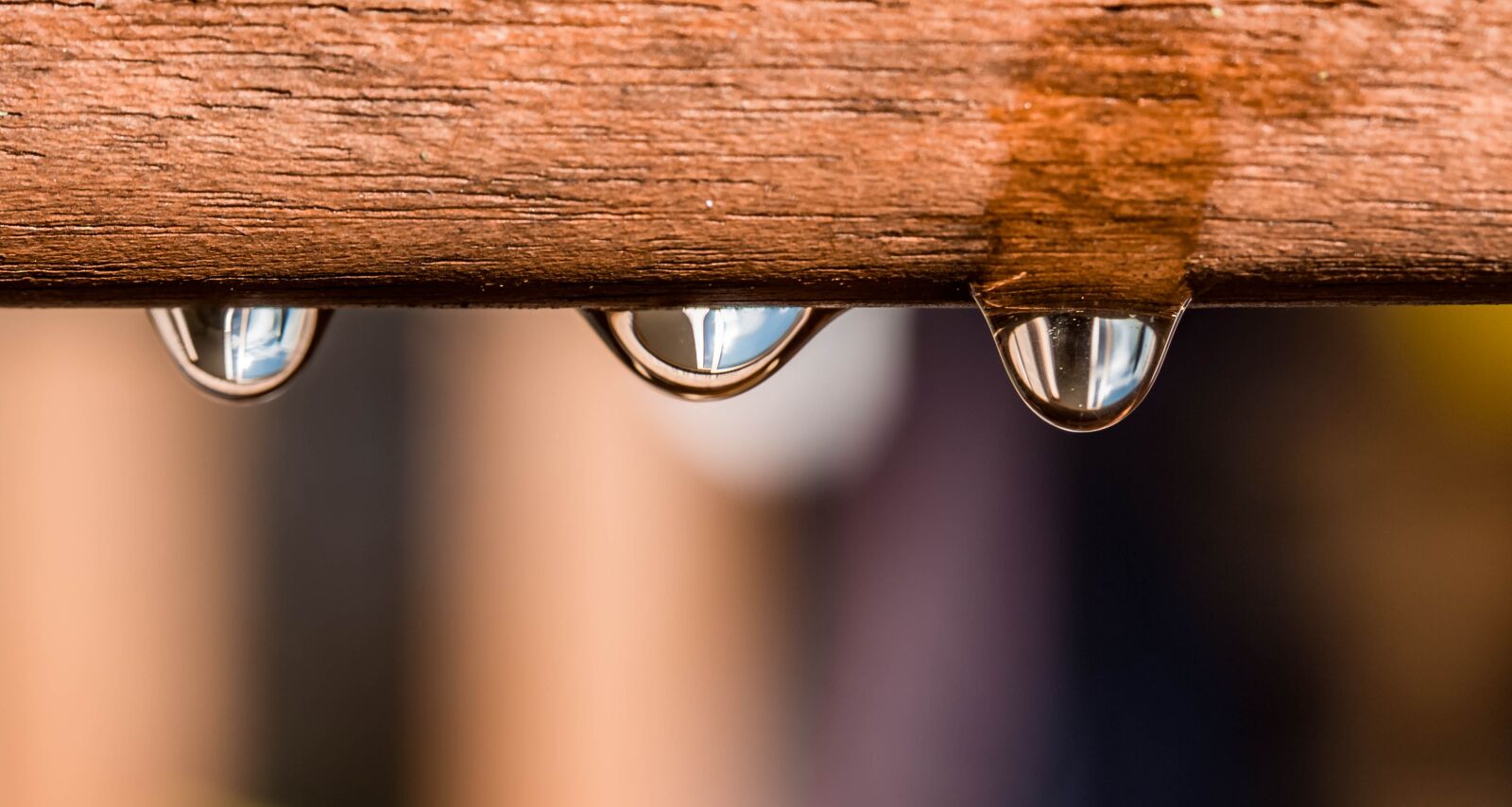 Canon EOS 650D (EOS Rebel T4i / EOS Kiss X6i) sample photo. Drip, drop of water photography