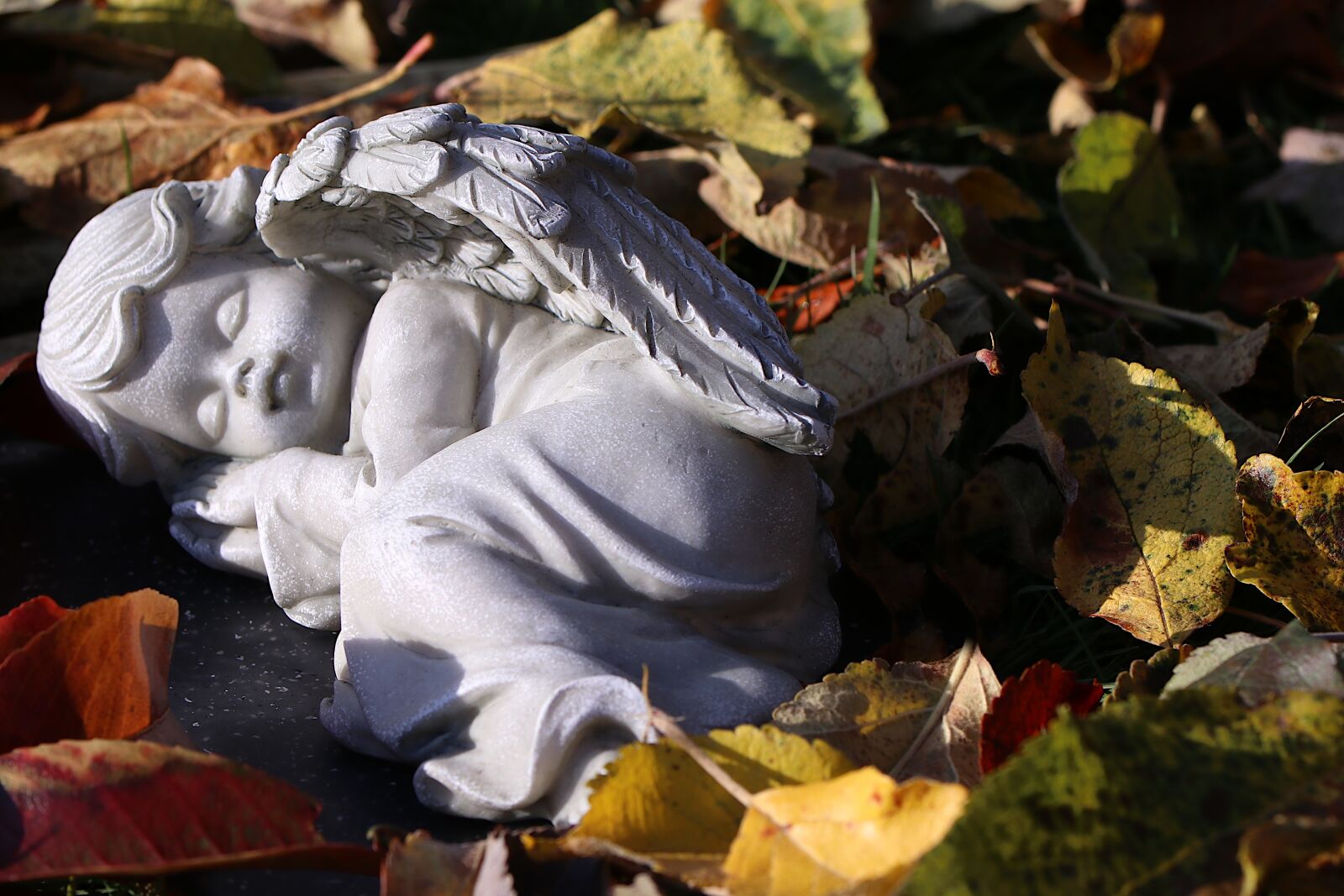 Canon EOS 80D sample photo. Angel, mourning, death photography