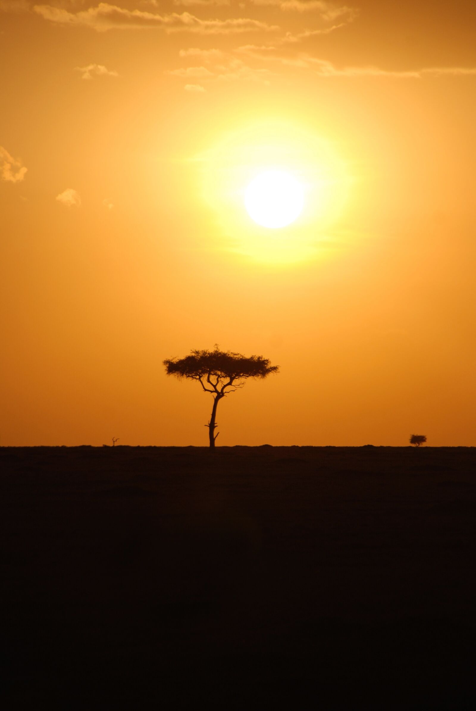 Nikon D80 sample photo. Africa, kenya, safari photography