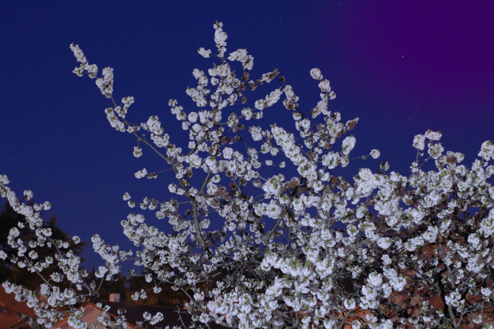 Canon EOS 700D (EOS Rebel T5i / EOS Kiss X7i) sample photo. Night, stars, sky photography