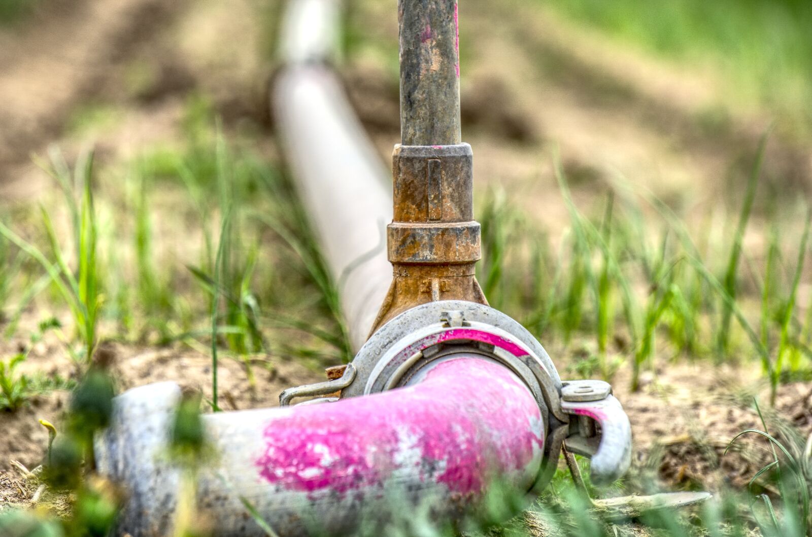 Sony a6000 sample photo. Tube, water pipe, irrigation photography