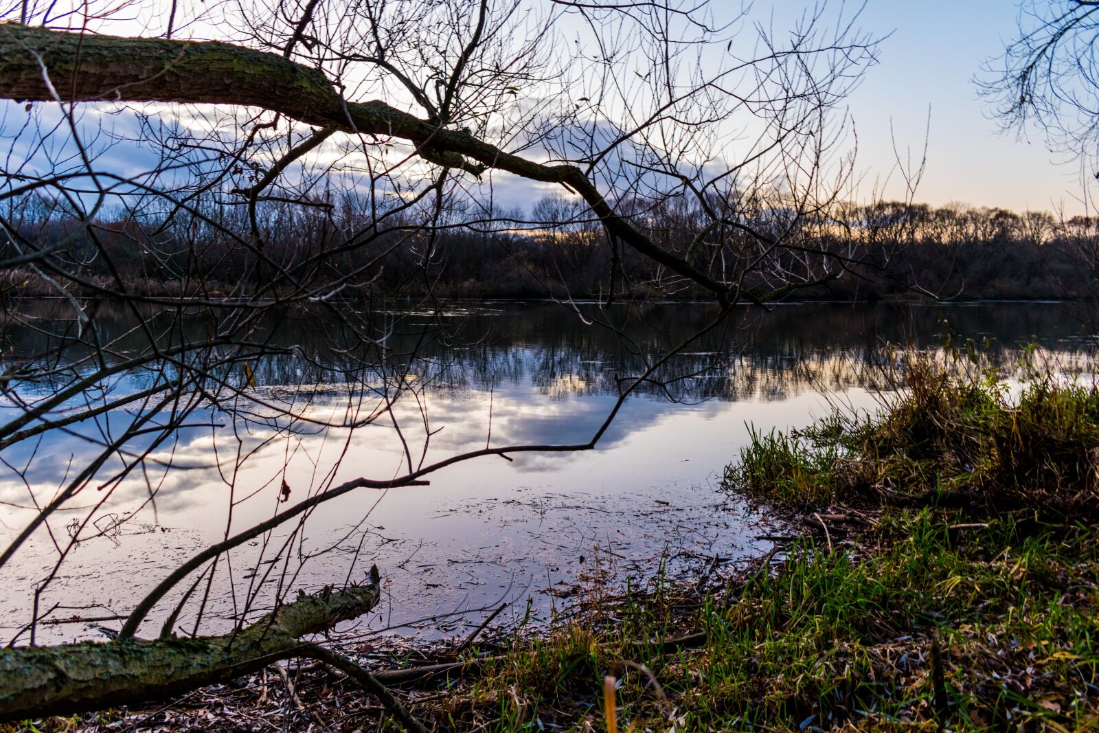 Nikon D5600 sample photo. River, trees, plants photography