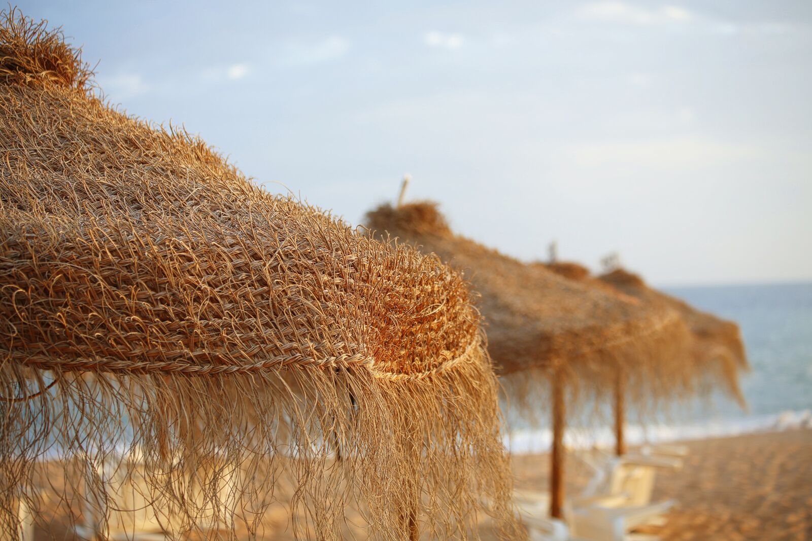 Canon EOS 5D Mark III sample photo. Holiday, sun, parasol photography