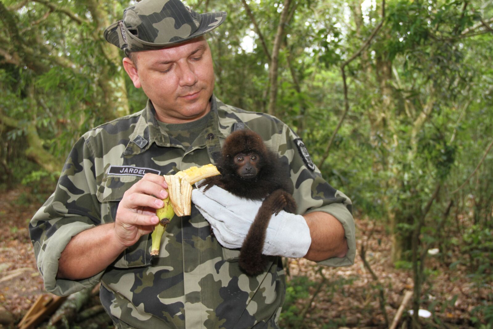 Canon EOS 7D sample photo. Monkey, nature, wild animals photography