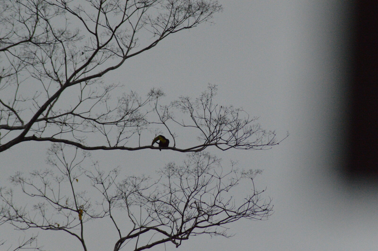 Nikon D3200 sample photo