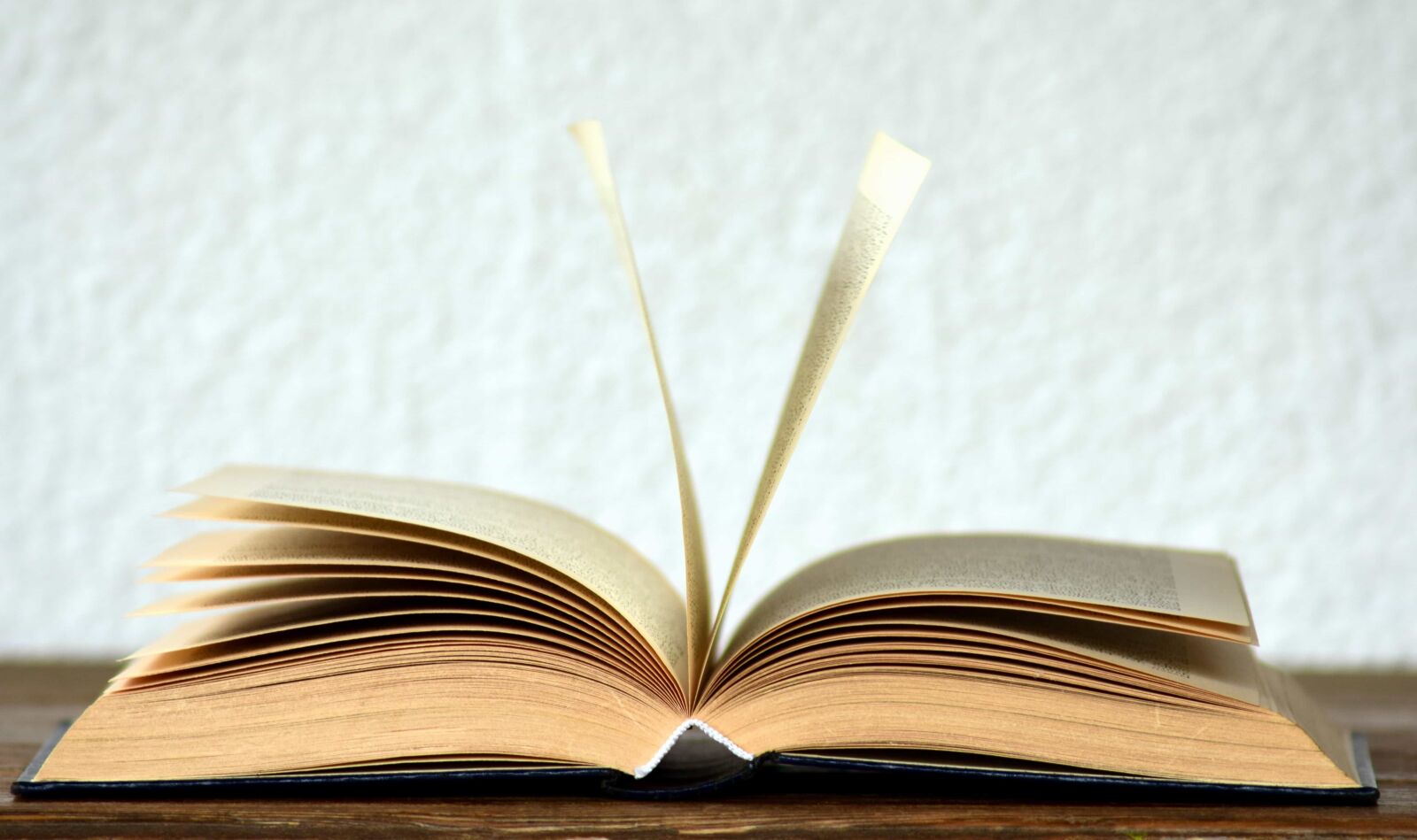 Nikon D3300 sample photo. Library, education, literature, book photography