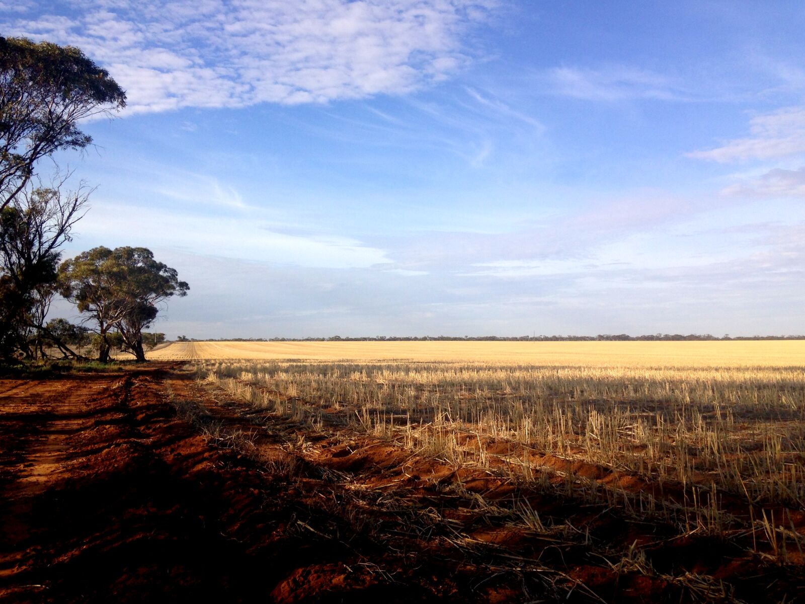 iPhone 5c back camera 4.12mm f/2.4 sample photo. Blue, sky, cropping, farm photography