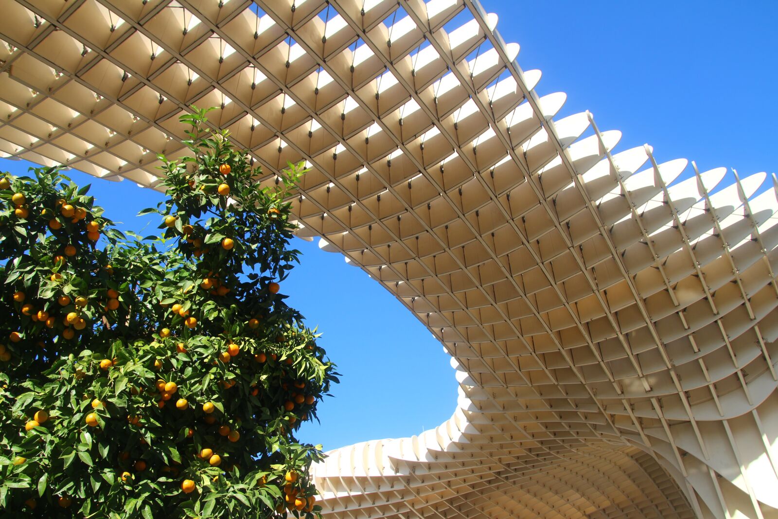 Canon EOS 700D (EOS Rebel T5i / EOS Kiss X7i) sample photo. Metropol parasol, seville, orange photography
