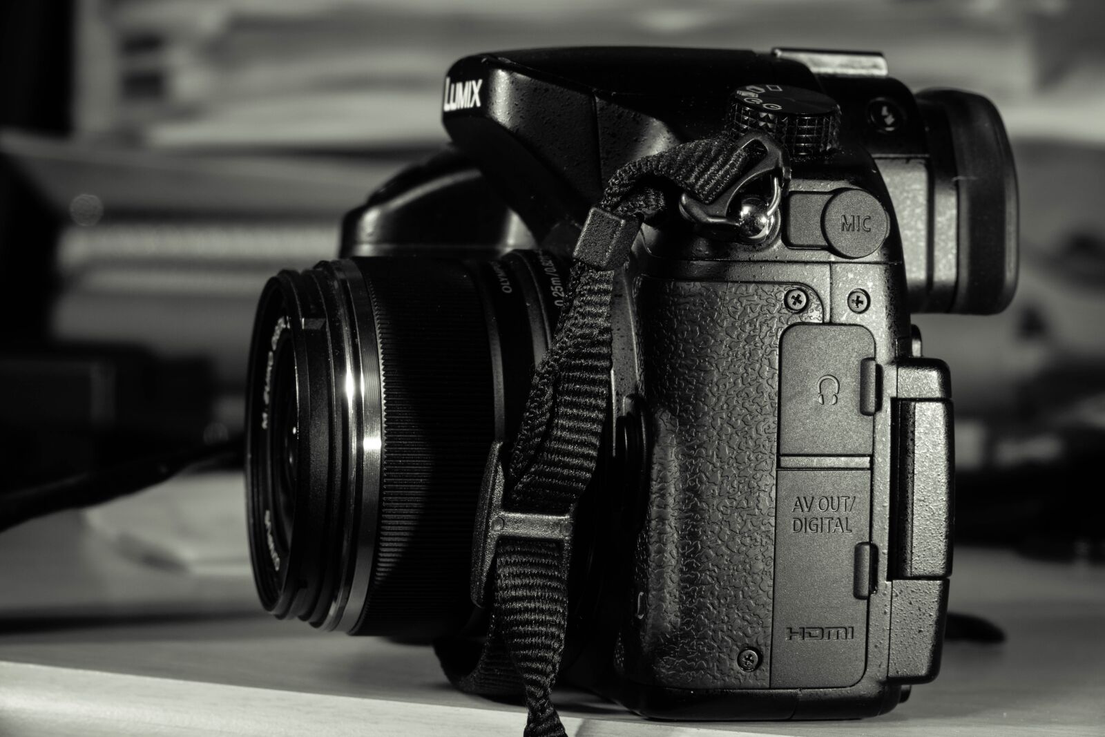 Sony Cyber-shot DSC-RX10 III sample photo. Lumixgh4, dsl camera, dital photography