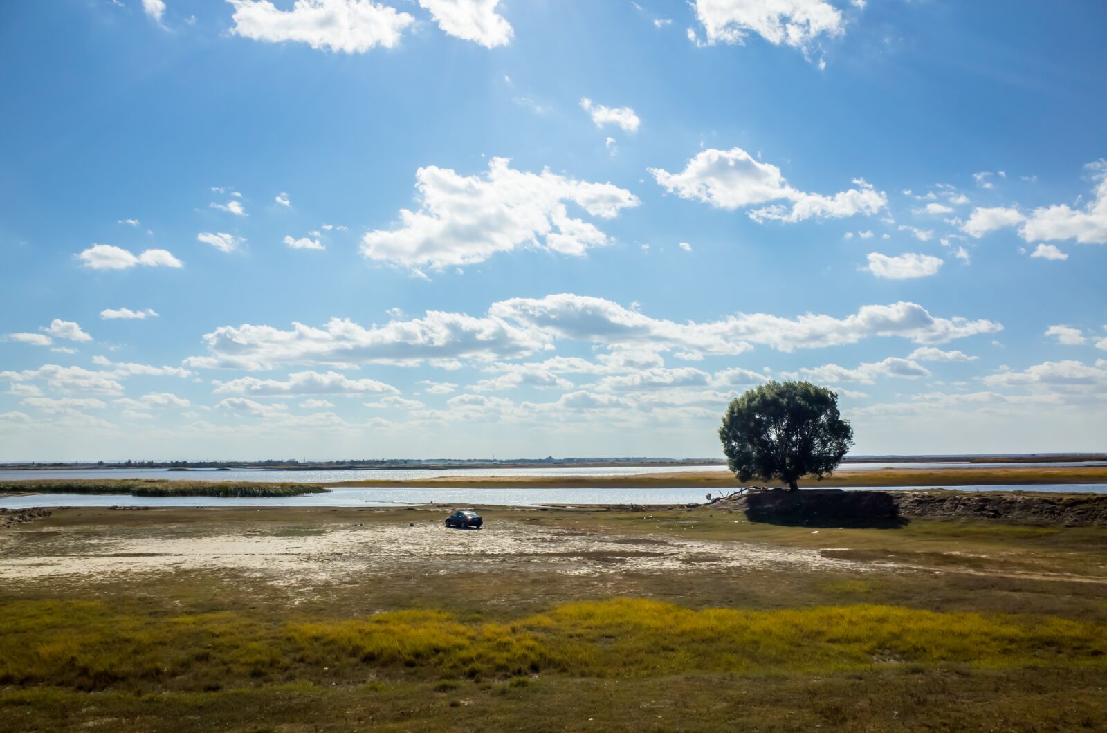 Ricoh GR sample photo. Prairie, wetlands, the scenery photography