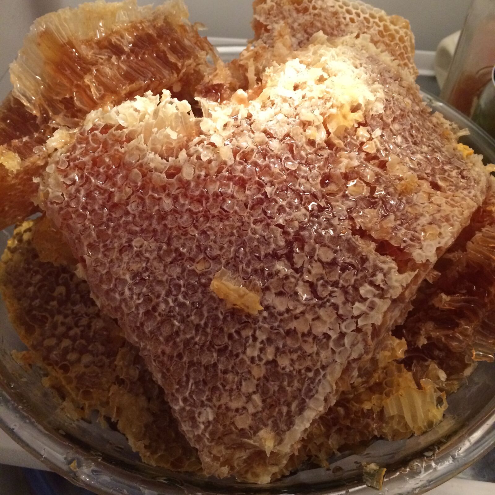 iPhone 5s back camera 4.15mm f/2.2 sample photo. Honey, honey, comb, honeycomb photography