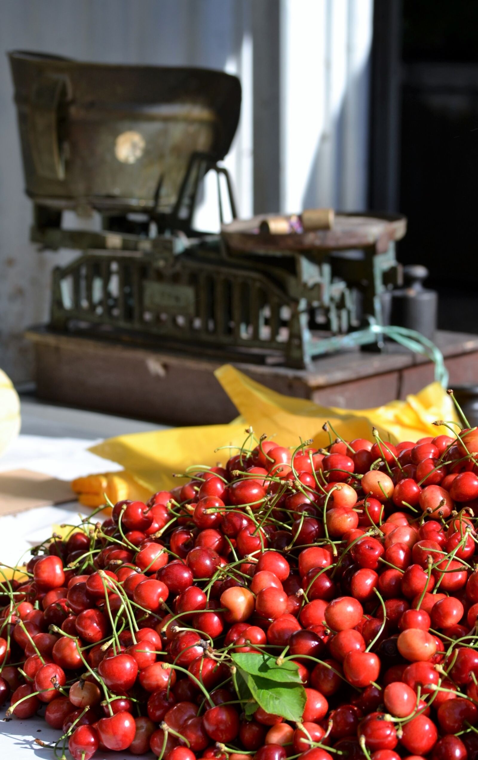 Nikon D3100 sample photo. Red, cherries, fruit photography