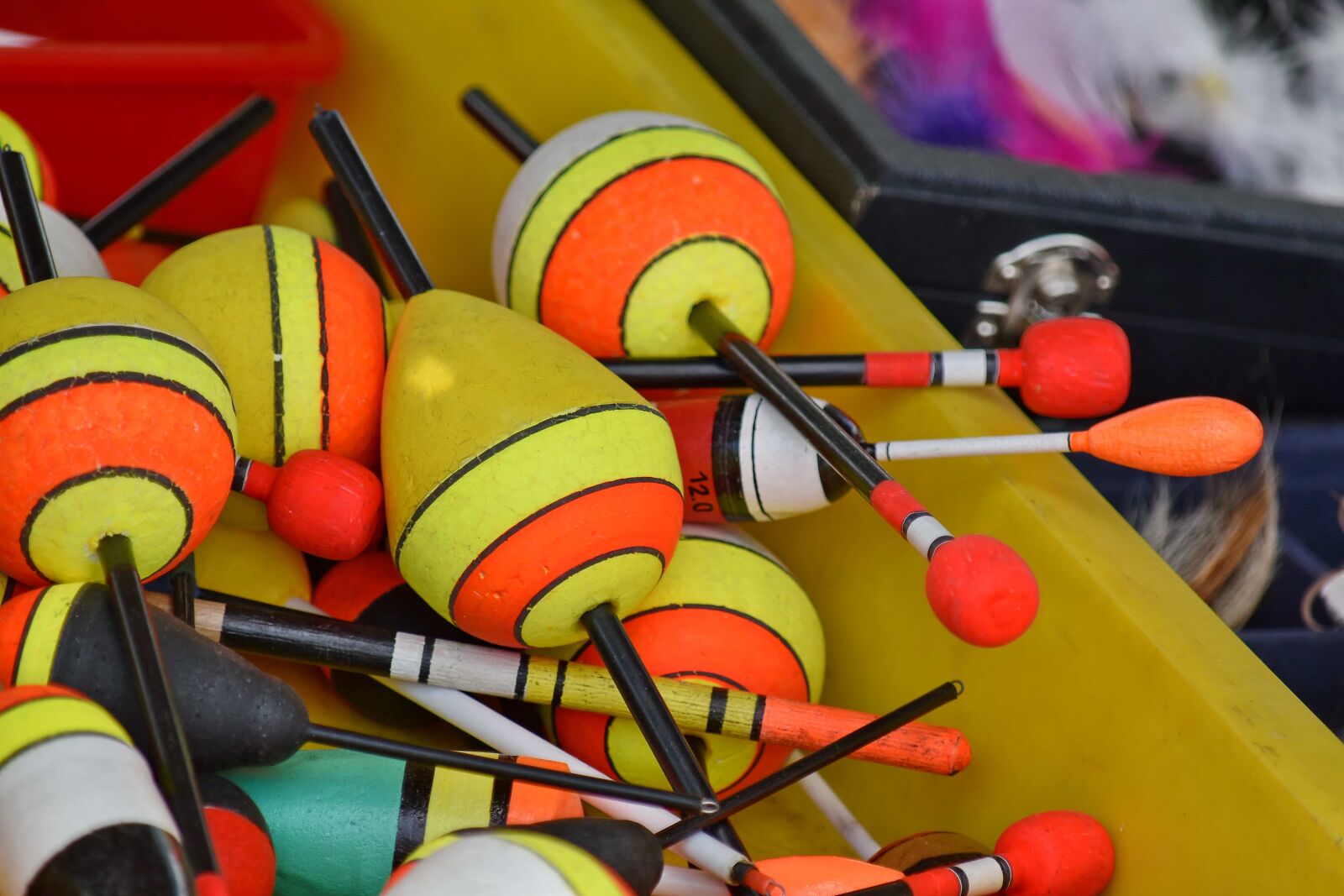Nikon D5500 sample photo. Fishing gear, object, tool photography
