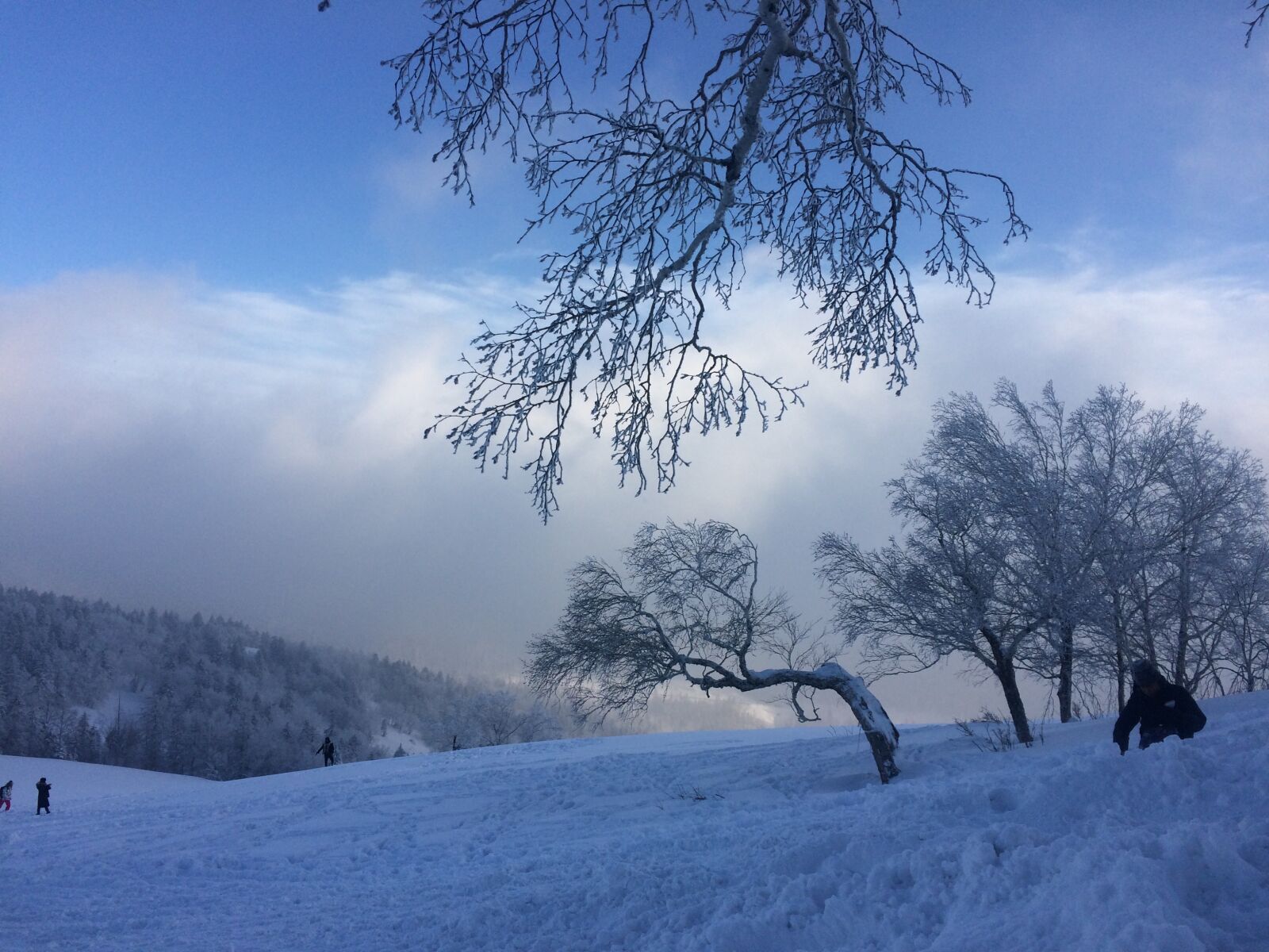 iPhone 5s back camera 4.15mm f/2.2 sample photo. Snow, winter, sky photography