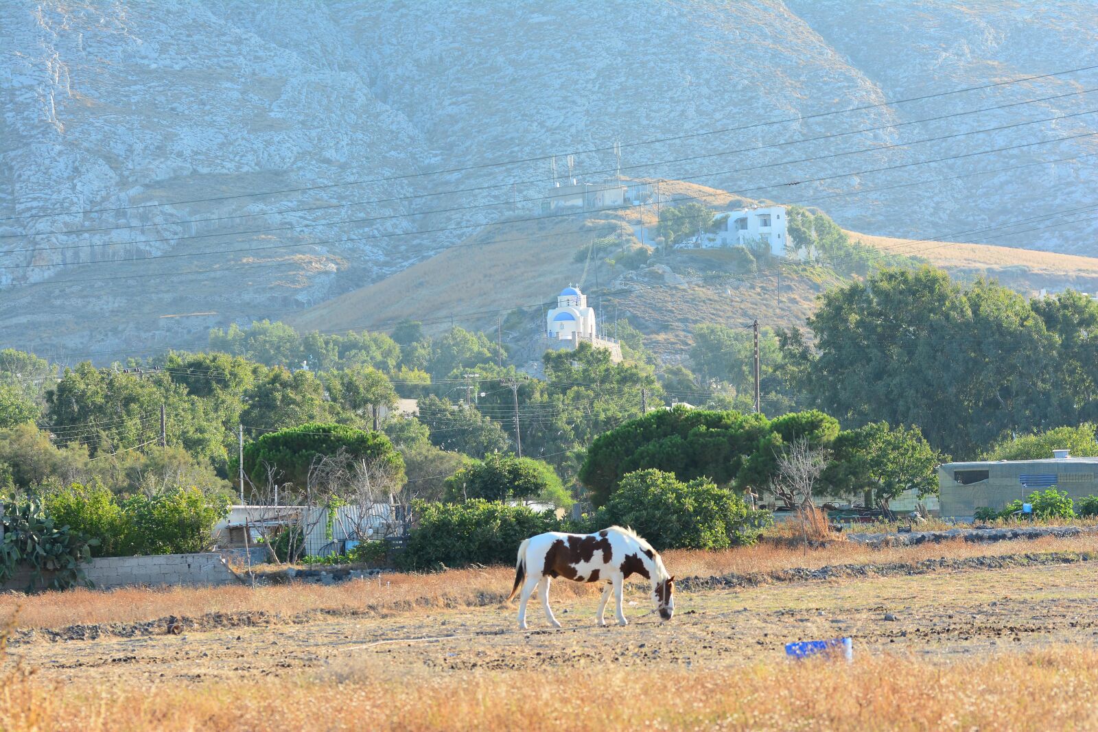 Nikon D7100 sample photo. Horse, field, santorini photography