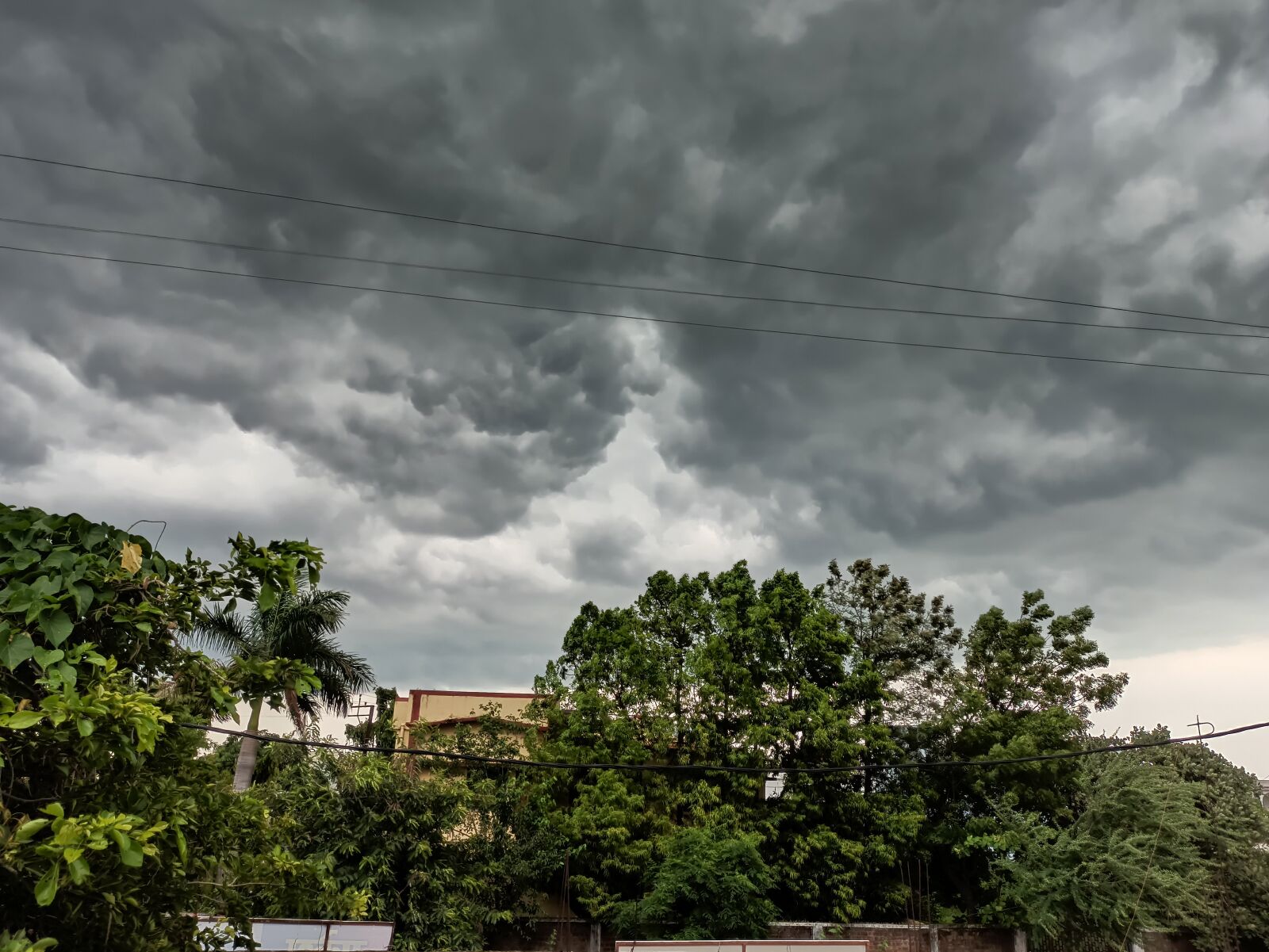 Xiaomi Redmi Note 8 Pro sample photo. Clouds, sky, tress photography