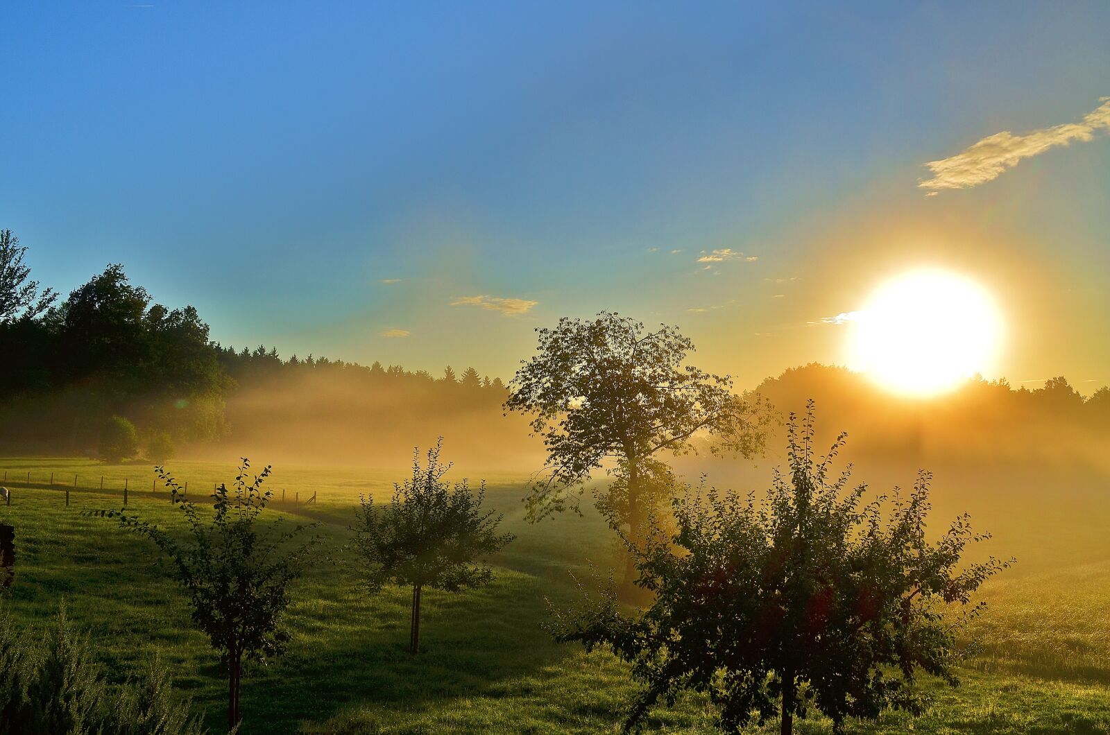 Nikon D5100 sample photo. Sunrise, meadow, spring photography