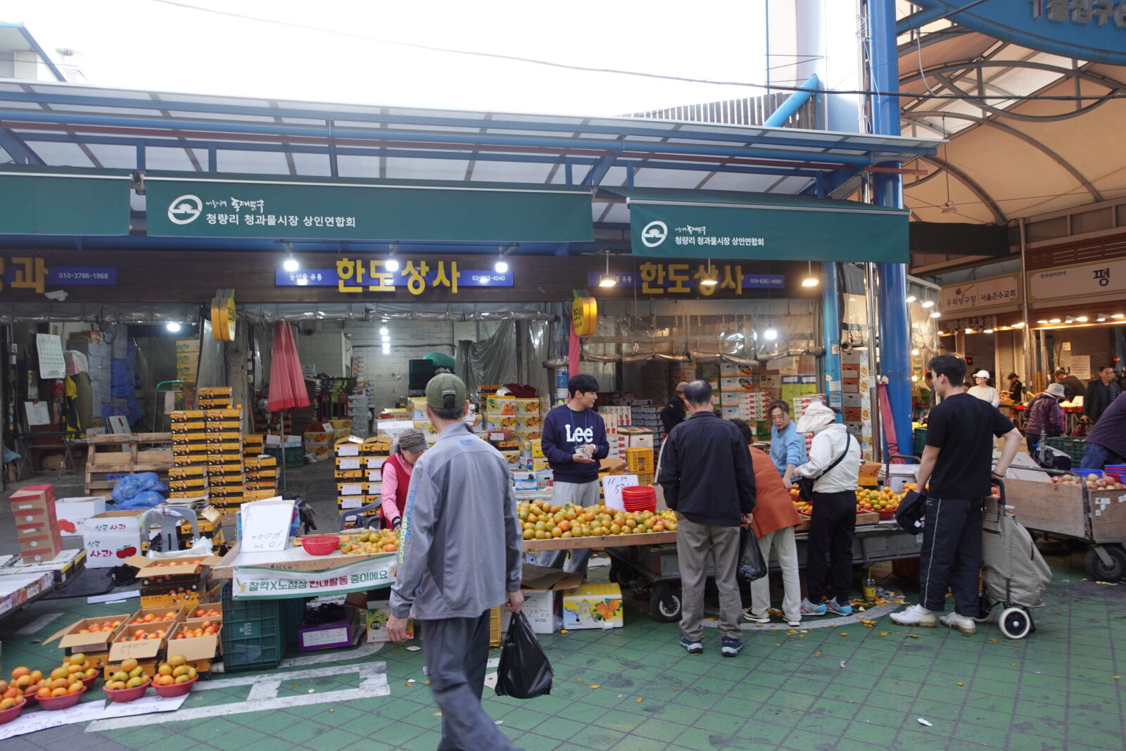 Sony ZV-1 sample photo