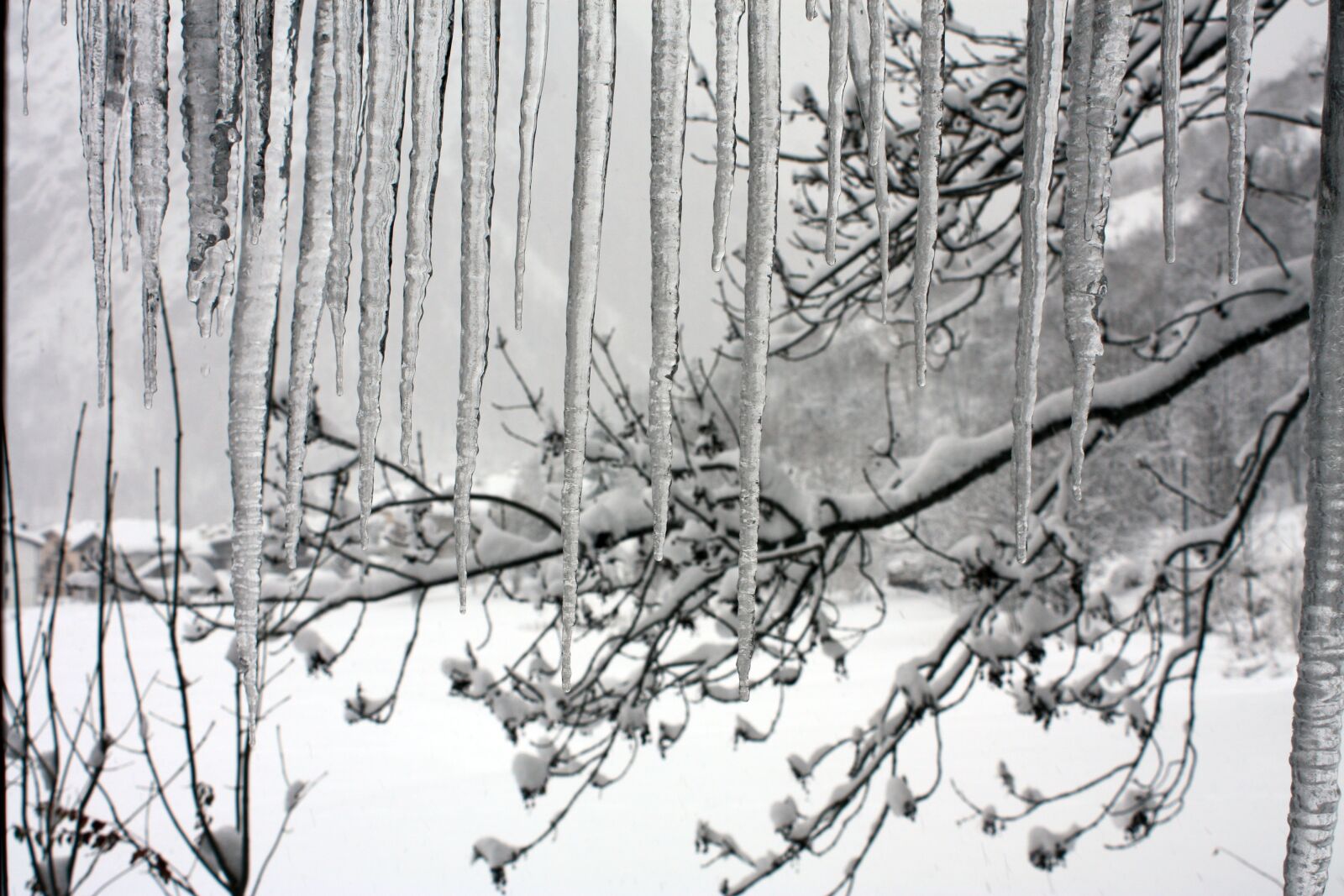 Canon EOS 450D (EOS Rebel XSi / EOS Kiss X2) sample photo. Winter, snow, courmayeur photography