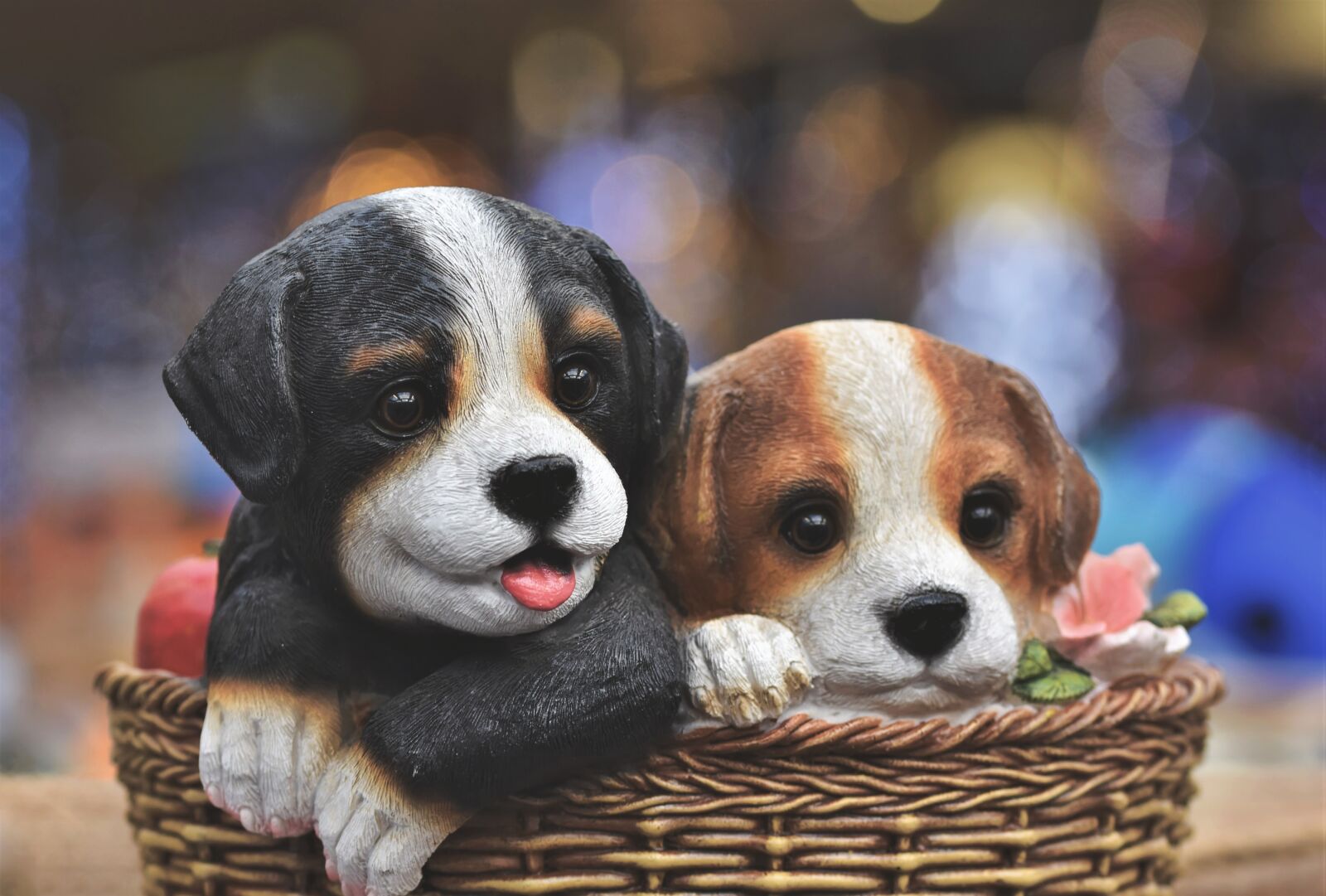 Nikon D7200 sample photo. Dog figure, dog, dog photography