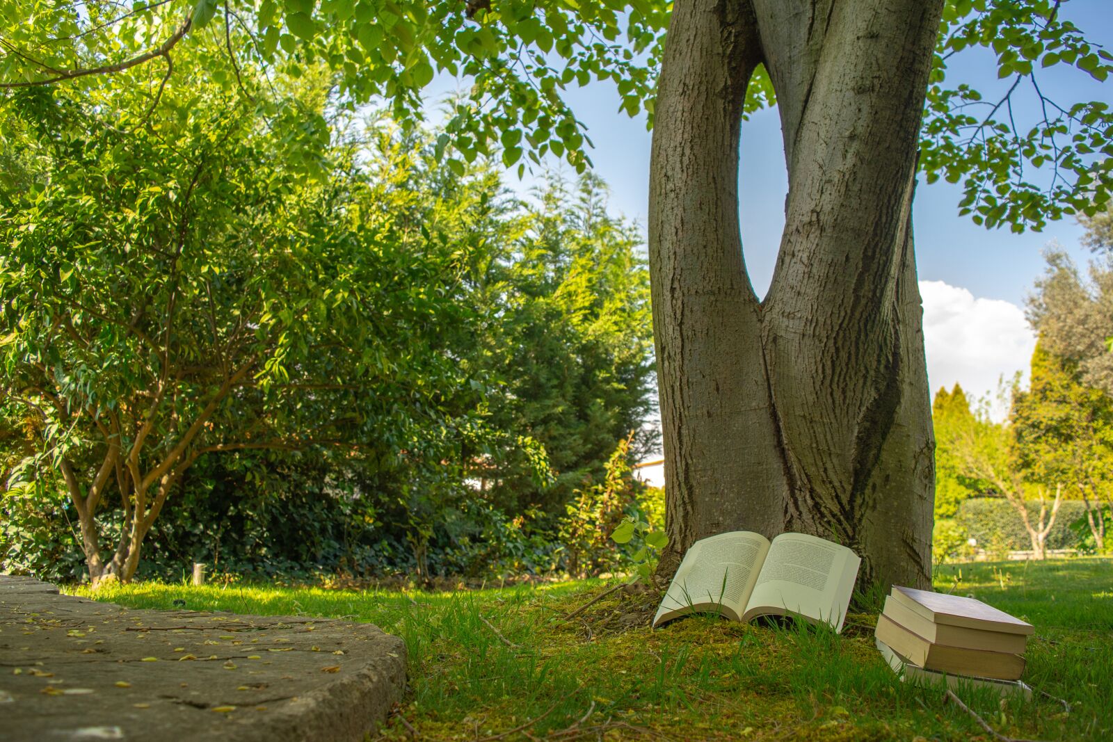 Nikon D5200 sample photo. Books, reading, book photography
