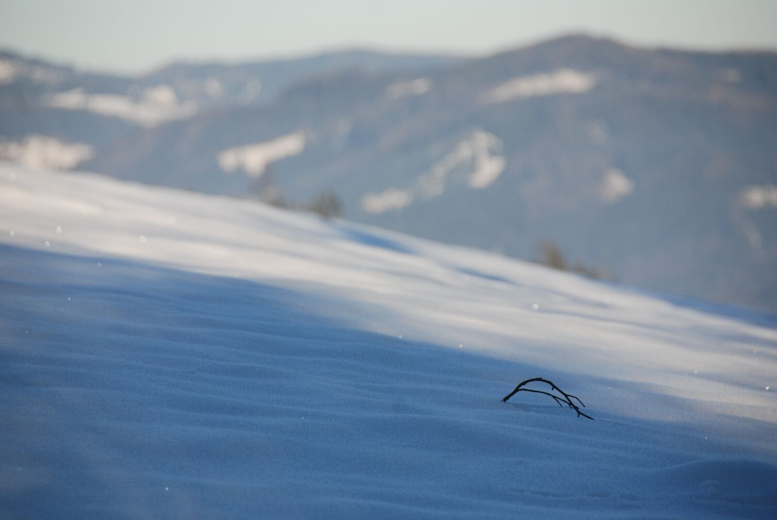 Nikon D80 sample photo. Wintry, branch, snow photography