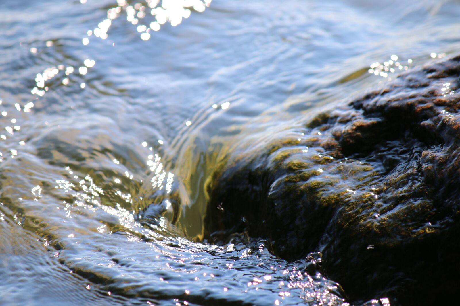 Canon EOS 70D + Canon EF-S 55-250mm F4-5.6 IS sample photo. Water, summer, lake photography