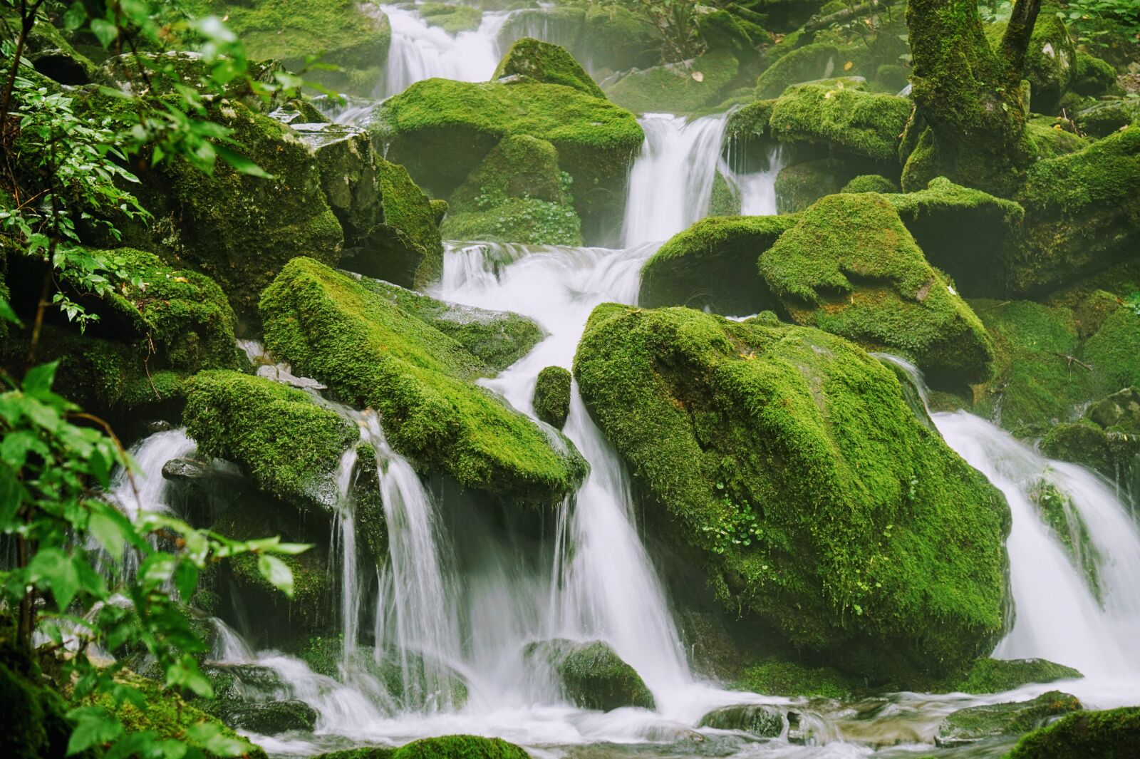 Sony Alpha a5000 (ILCE 5000) sample photo. Nature, valley, waterfall photography
