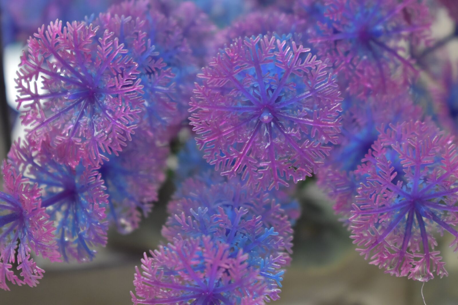 Nikon D5600 sample photo. Flowers, crystals, showpiece photography