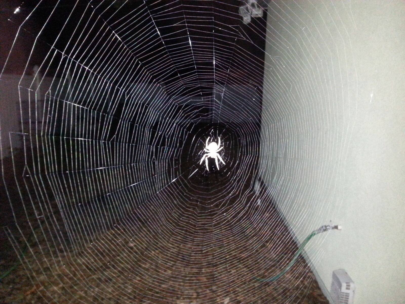 Samsung Galaxy S3 sample photo