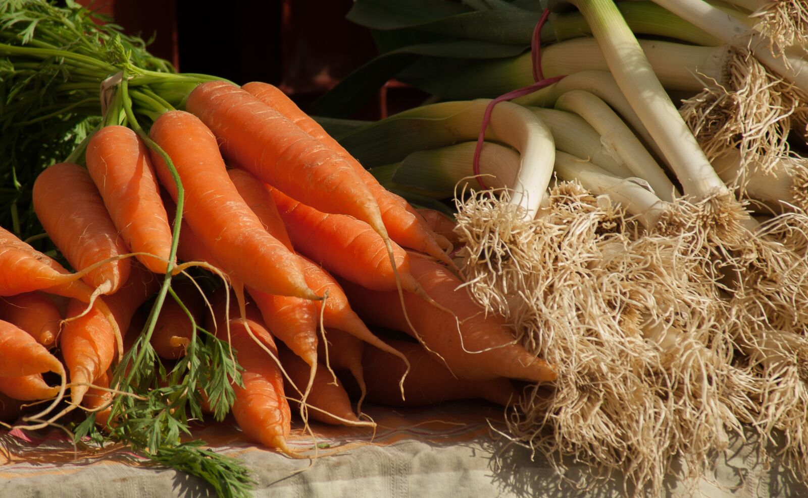 Pentax K10D sample photo. Carrots, leeks, vegetables photography