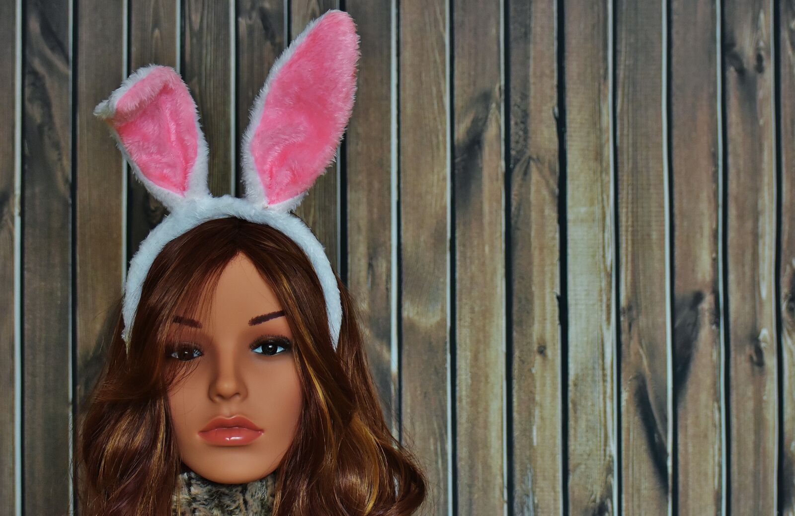 Nikon D7200 sample photo. Easter, greeting card, rabbit photography