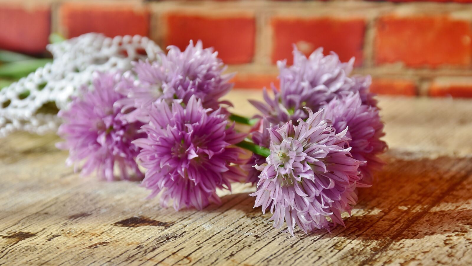 Nikon D7200 sample photo. Chives, blossom, bloom photography