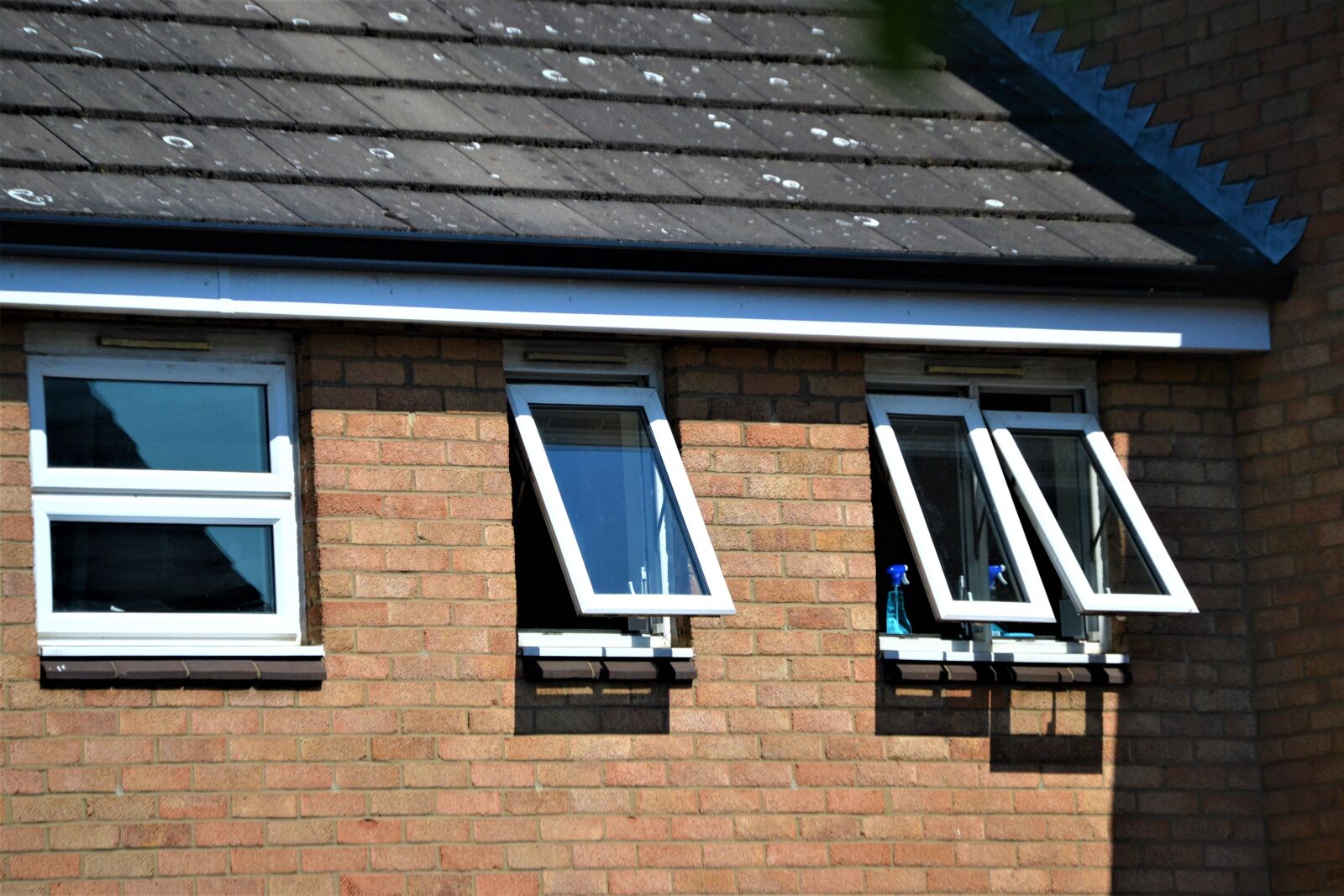 Nikon D3100 sample photo. Windows, building, architecture photography
